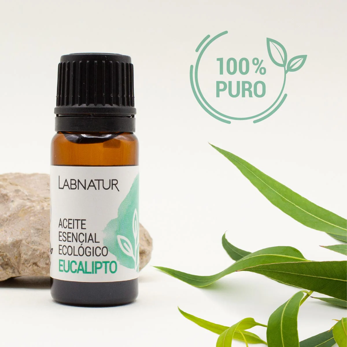Aceite de Eucalipto Puro 10 ml | Refrescante y Purificante | Aromaterapia y Bienestar - Image 3