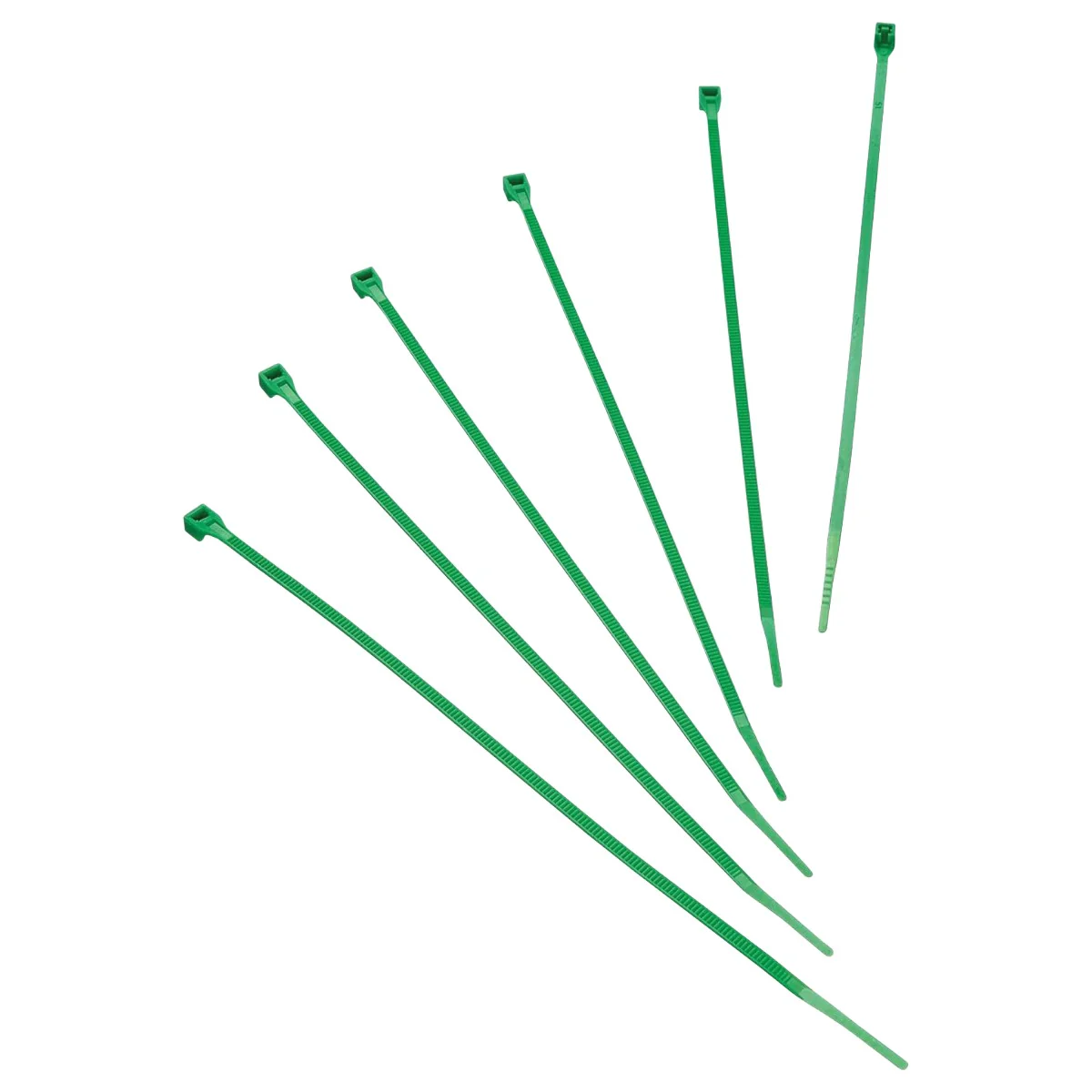 Bridas de sujeción Biotop 25 cm Verde
