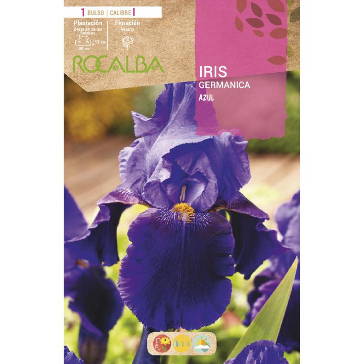 Bulbo Iris Germánica azul 1 unidad (1)
