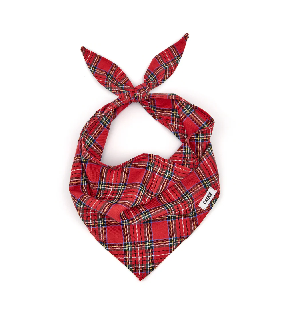 Cafide Bandana Para Perro Tartán Royal Steward. Modelo Nata. Talla L (38-42 Cm)