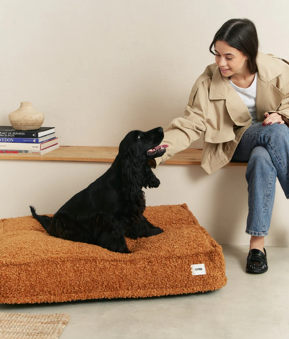 Cafide Cama De Material Reciclado Para Perro Con Tejido Estilo Borreguito Mostaza. Modelo Cuadra. - Image 3