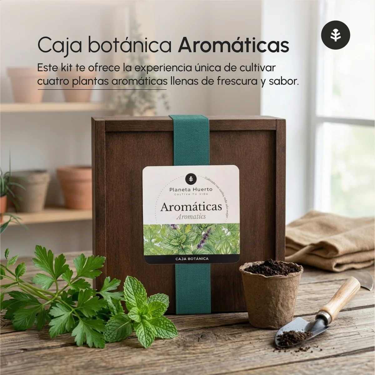 Kit de Cultivo de Aromáticas en Caja de Madera – Regalo Original Planeta Huerto - Image 4