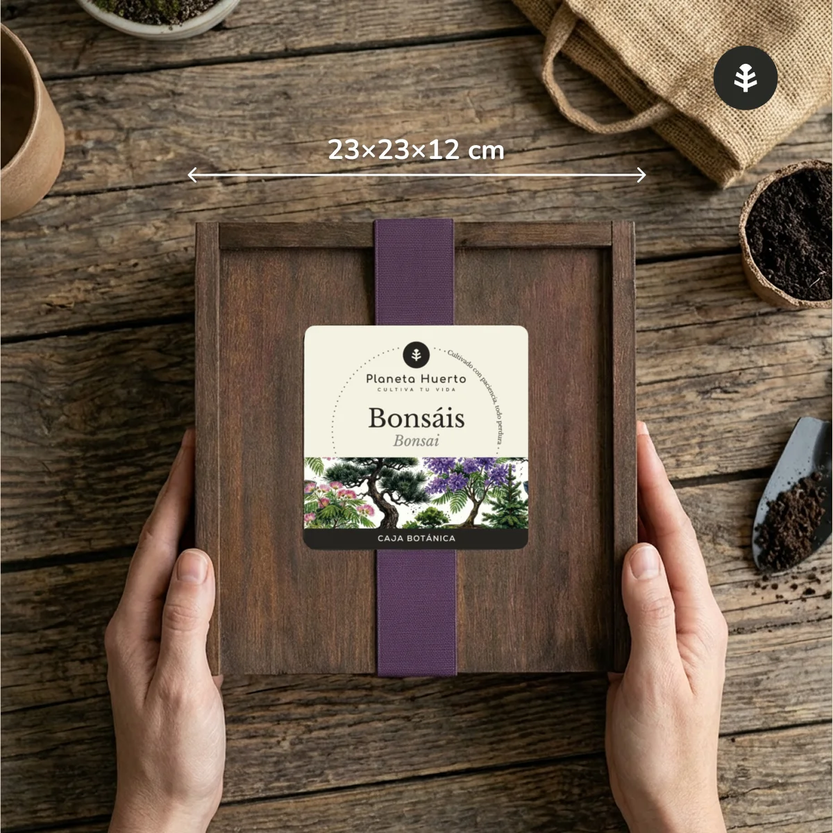 Kit de Cultivo de Bonsáis en Caja de Madera – Regalo Original Planeta Huerto - Image 5