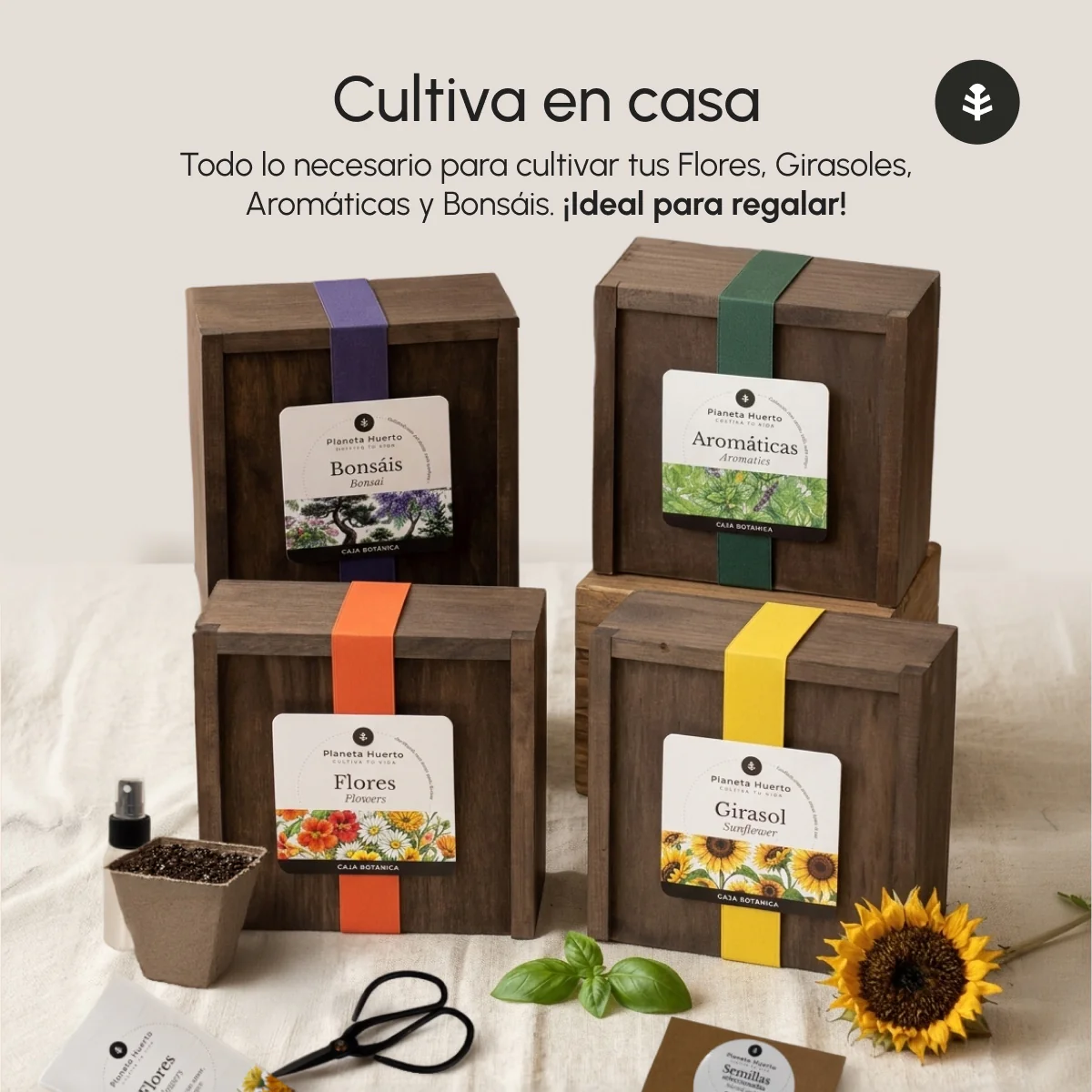 Kit de Cultivo de Bonsáis en Caja de Madera – Regalo Original Planeta Huerto - Image 6