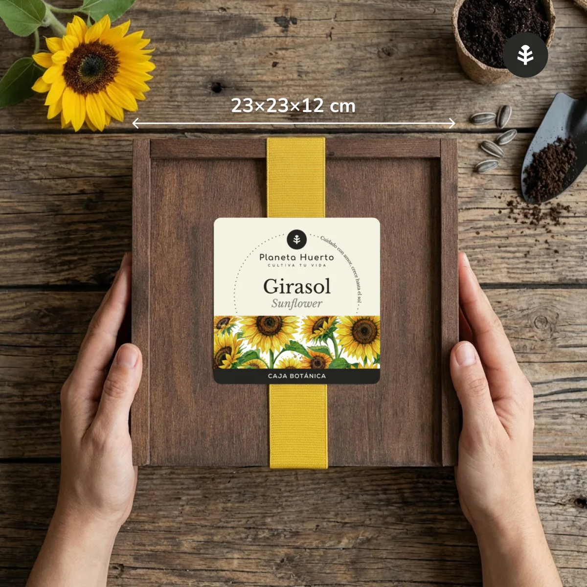 Kit de Cultivo de Girasol en Caja de Madera – Regalo Original Planeta Huerto - Image 5