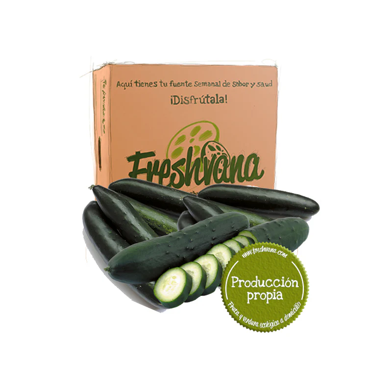 Caja De Pepino Francés Ecológico Freshvana 6 Kg