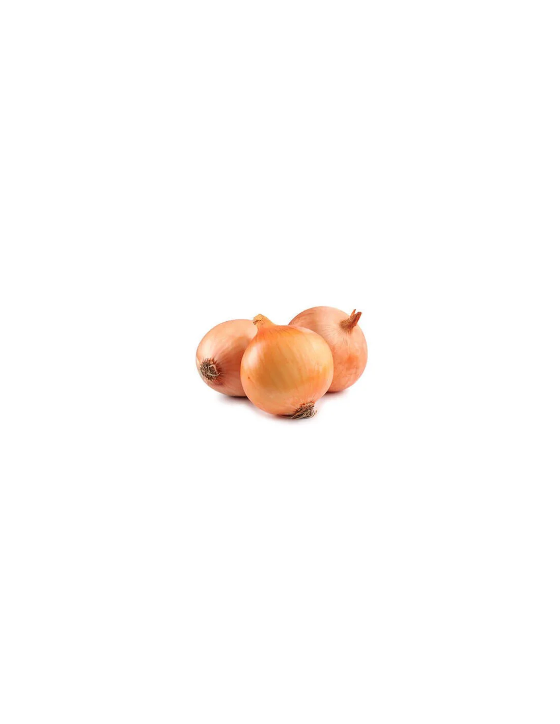 Cebolla Reca Bio - 1kg