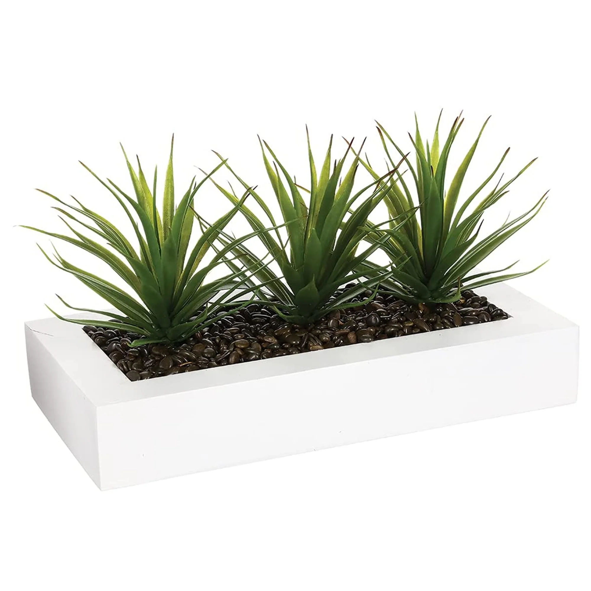 Centro De Mesa - 3 Aloe Vera - Altura 17 Cm