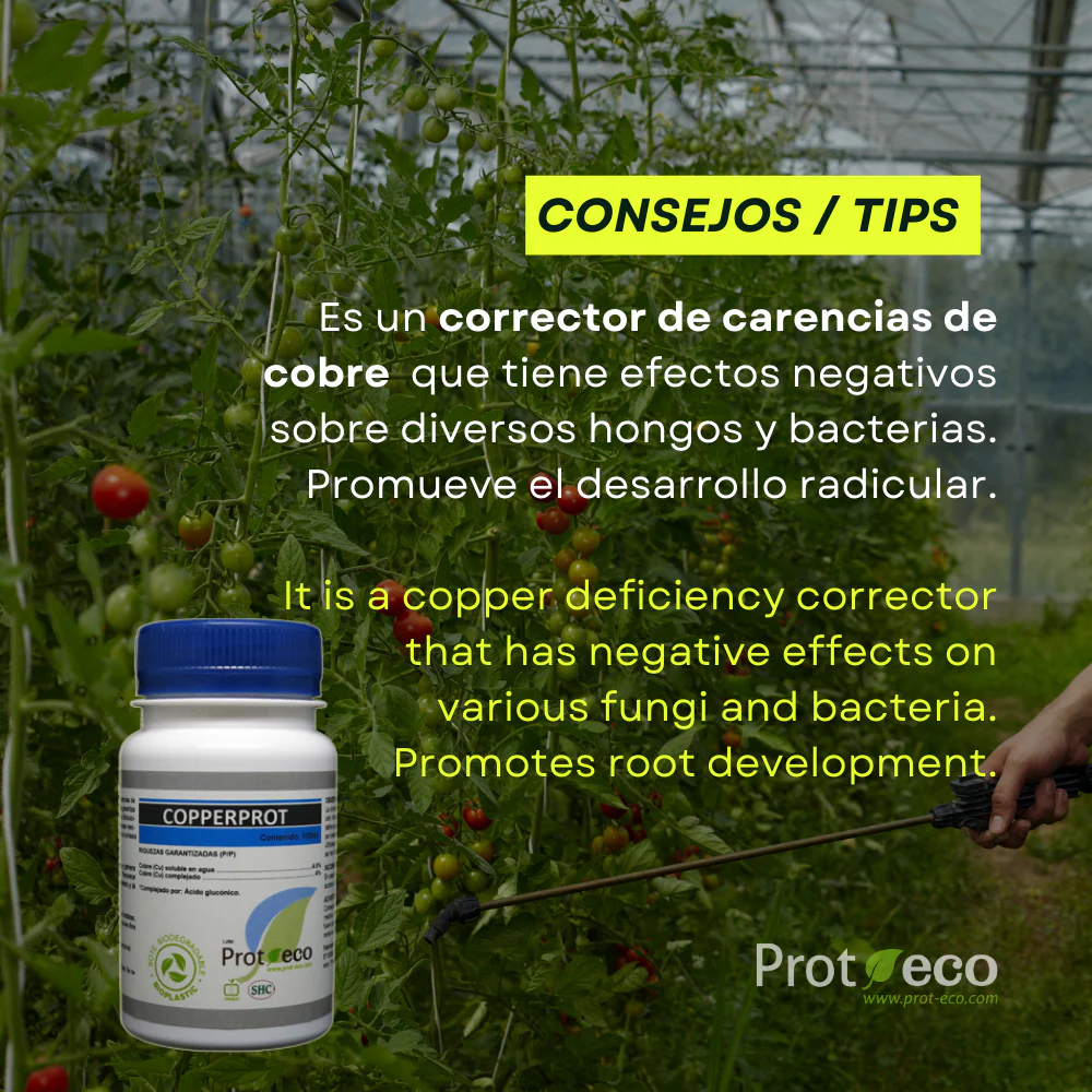 Copperprot Prot-eco Corrector De Cobre Ecológico Para Plantas Contra Hongos Y Mildiu + Pipeta 5 Ml Gratis - Image 2