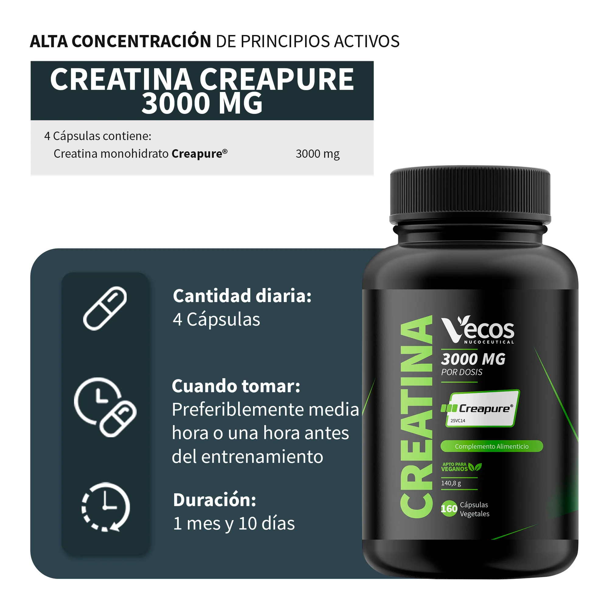 Creatina Creapure® 3000 Mg Vecos 160 Cápsulas | Aumento De Fuerza Y Rendimiento - Image 3