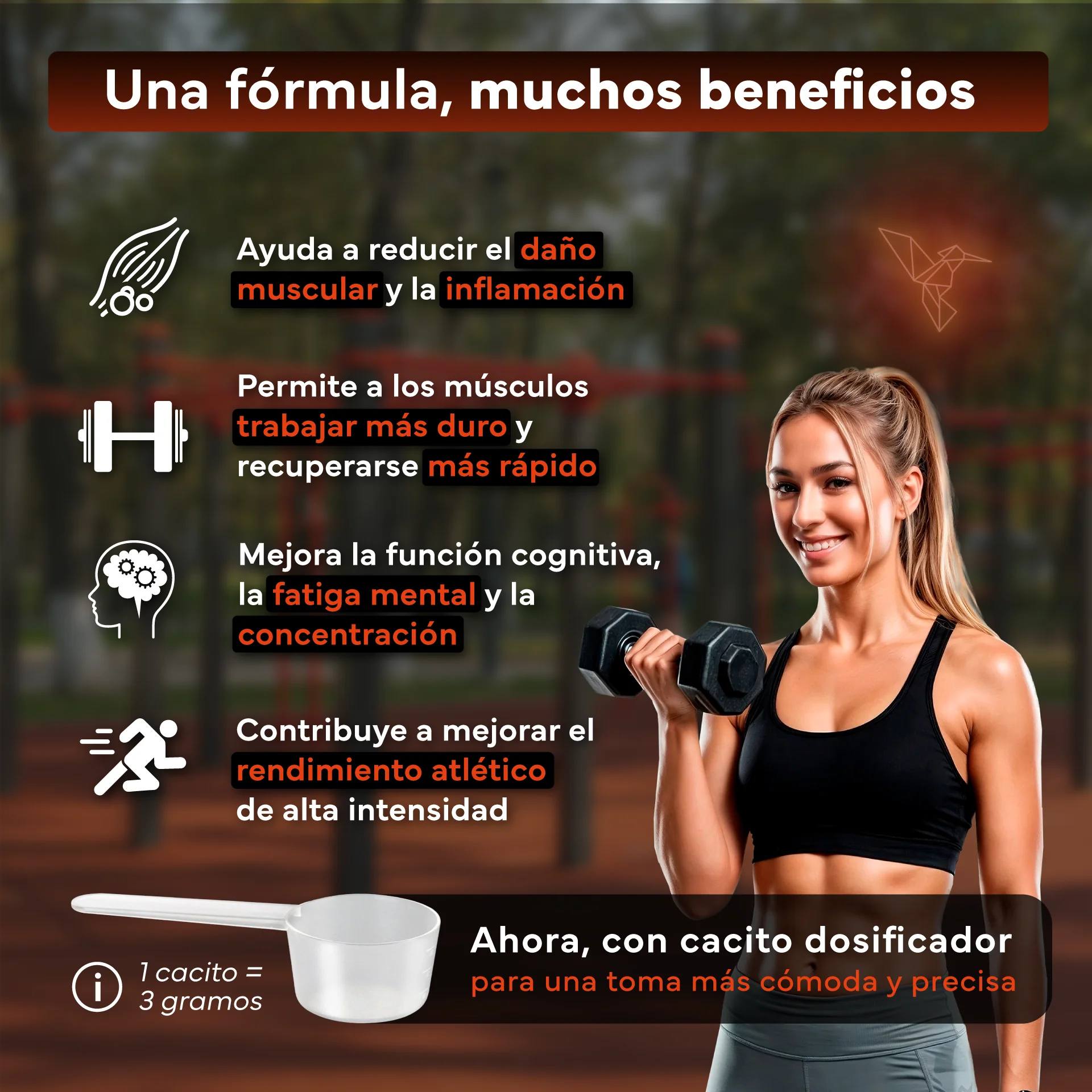 Creatina Monohidratada Sevens Nutrition. Más Fuerza, Energía Y Resistencia. - Image 3