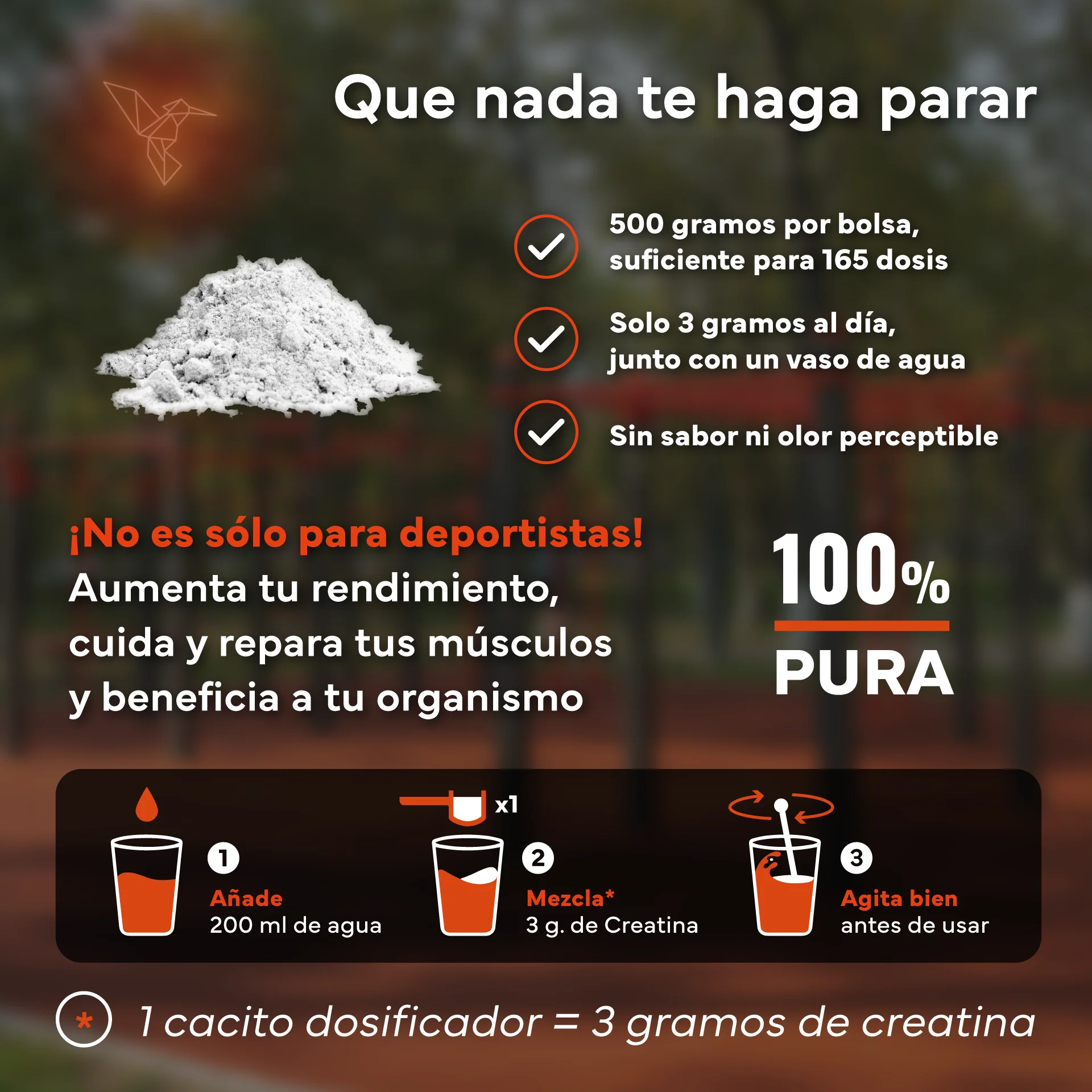 Creatina Monohidratada Sevens Nutrition. Más Fuerza, Energía Y Resistencia. - Image 5