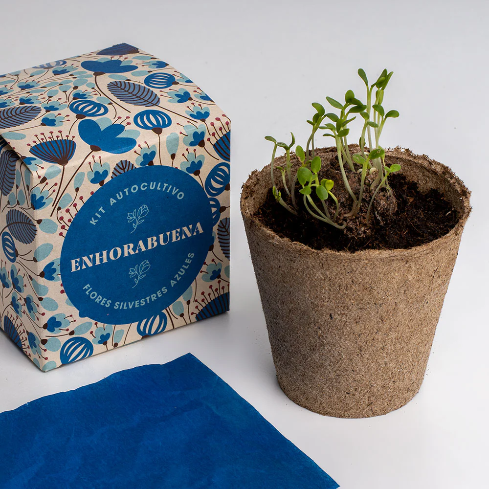 Díselo Con Flores Enhorabuena | Kit Cultivo Flores Silvestres Azules (lino Azul, Nomeolvides Y Flor Celeste) - Image 4