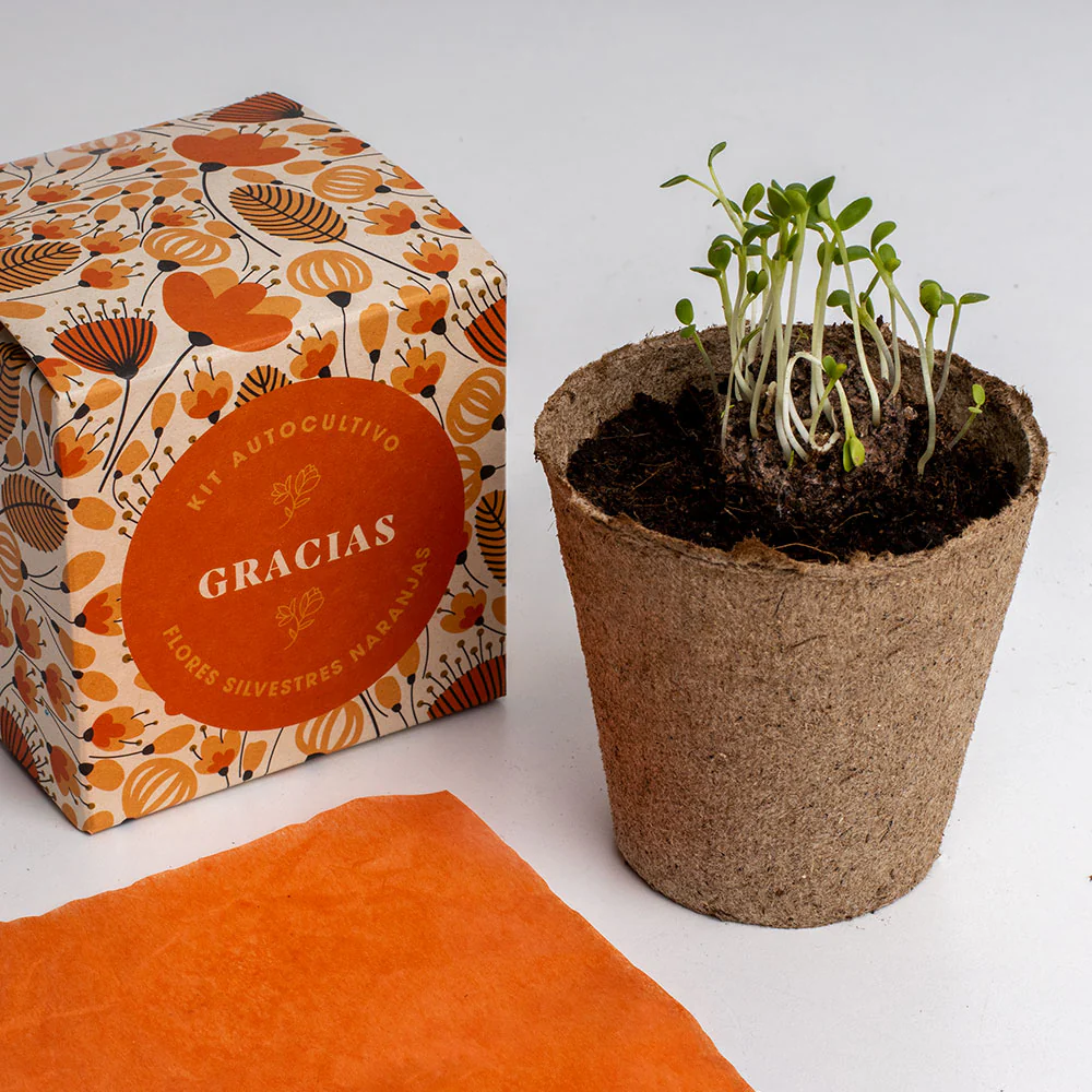 Díselo Con Flores Gracias | Kit Autocultivo Flores Silvestres Naranjas (caléndula, Pimpinela Escarlata Y Clavel Moro) - Image 4