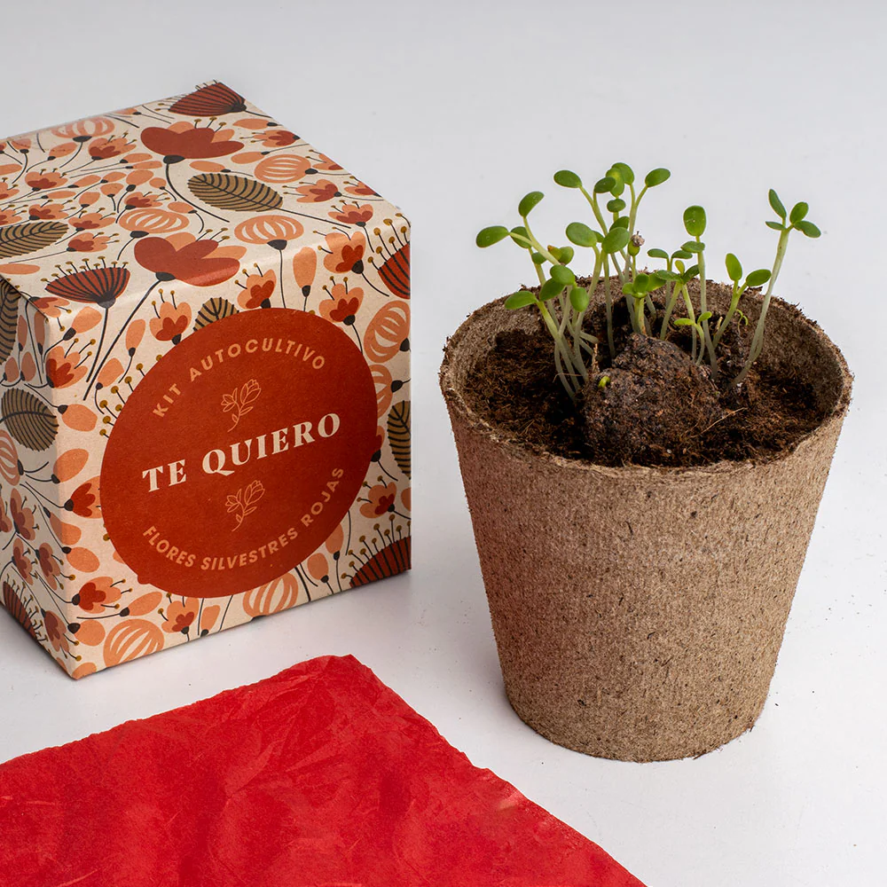 Díselo Con Flores Te Quiero | Kit Cultivo Flores Silvestres Rojas (amapola, Lino Rojo Y Clavel Del Poeta) - Image 4