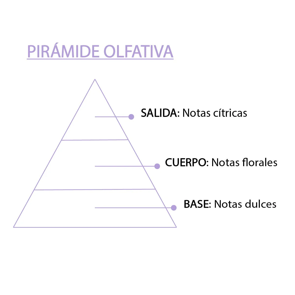 Esencia Natural White Musk 12 ml SYS Aromas | Aroma Almizcle Blanco | Difusores y Aromaterapia - Image 4
