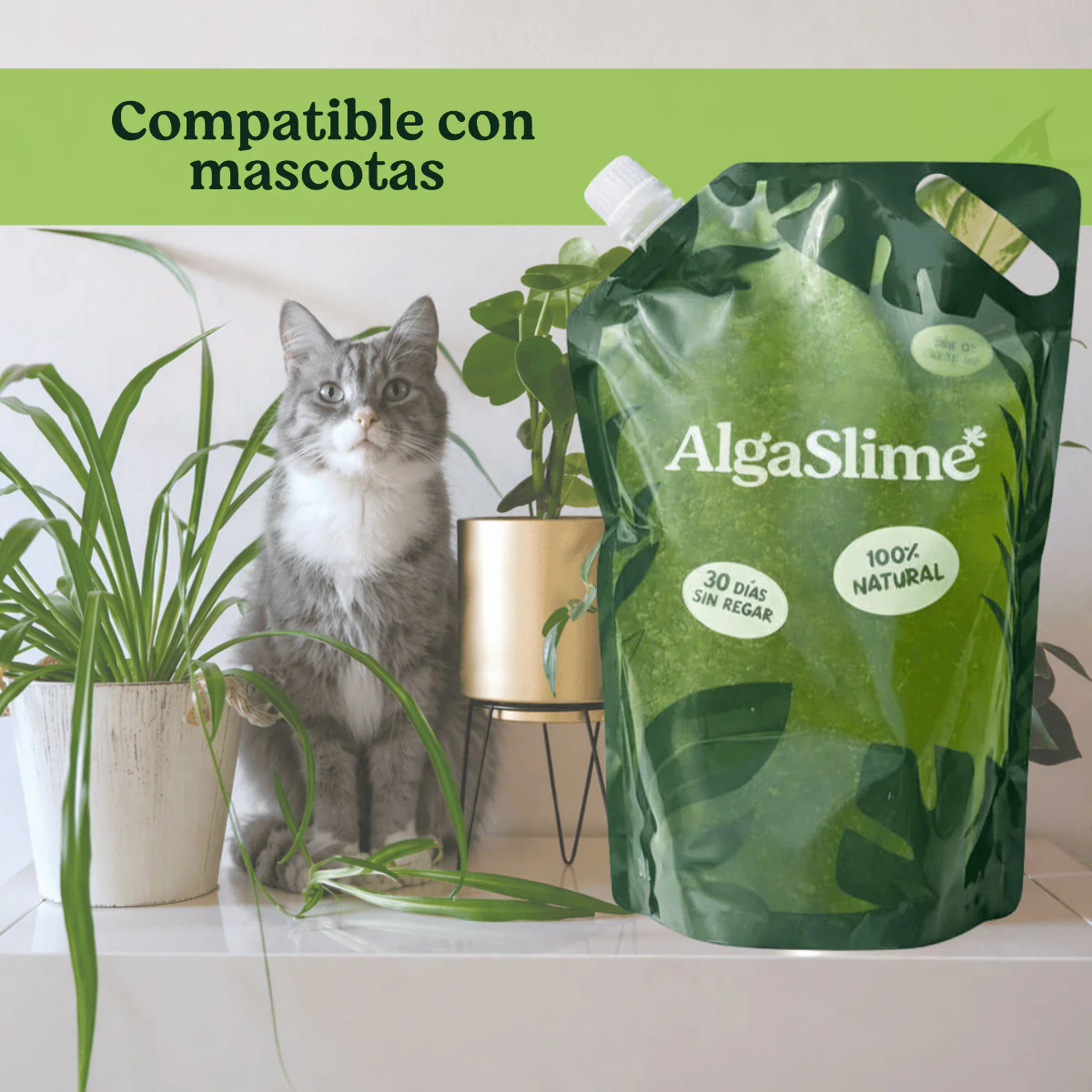 Gel de Riego para Plantas con Microalgas Vivas AlgaSlime 1l - Image 4