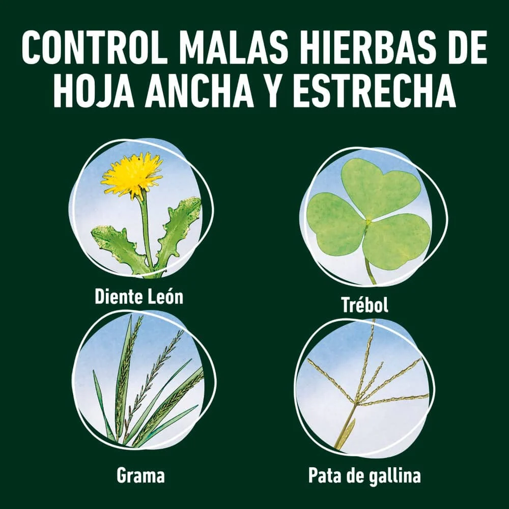 Herbicida total Sistémico Compo 225 ml - Image 4