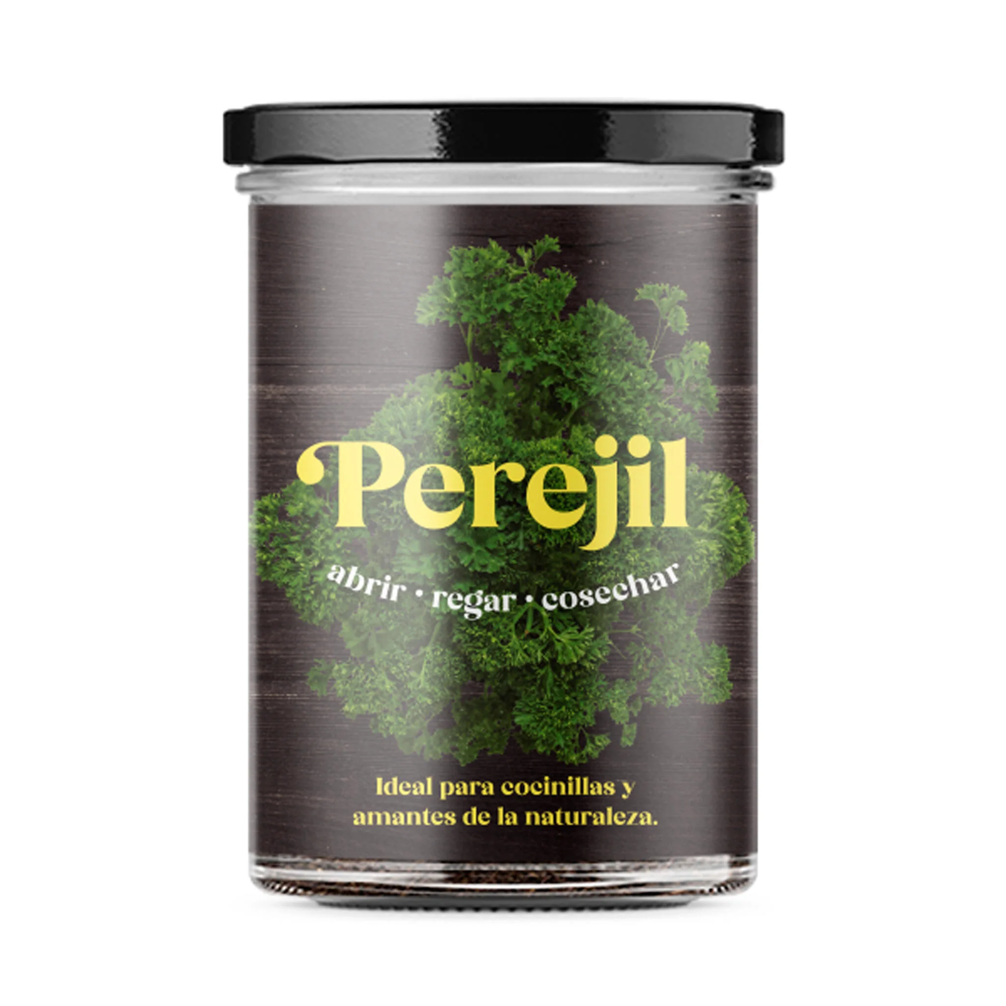 Huerto De Cocina De Perejil