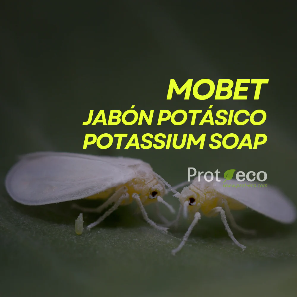 Jabón Potásico Ecológico Para Pulgón Y Cochinilla En Plantas Mobet Prot-eco (250 Ml)+pipeta dosificadora 5 ml gratis - Image 3