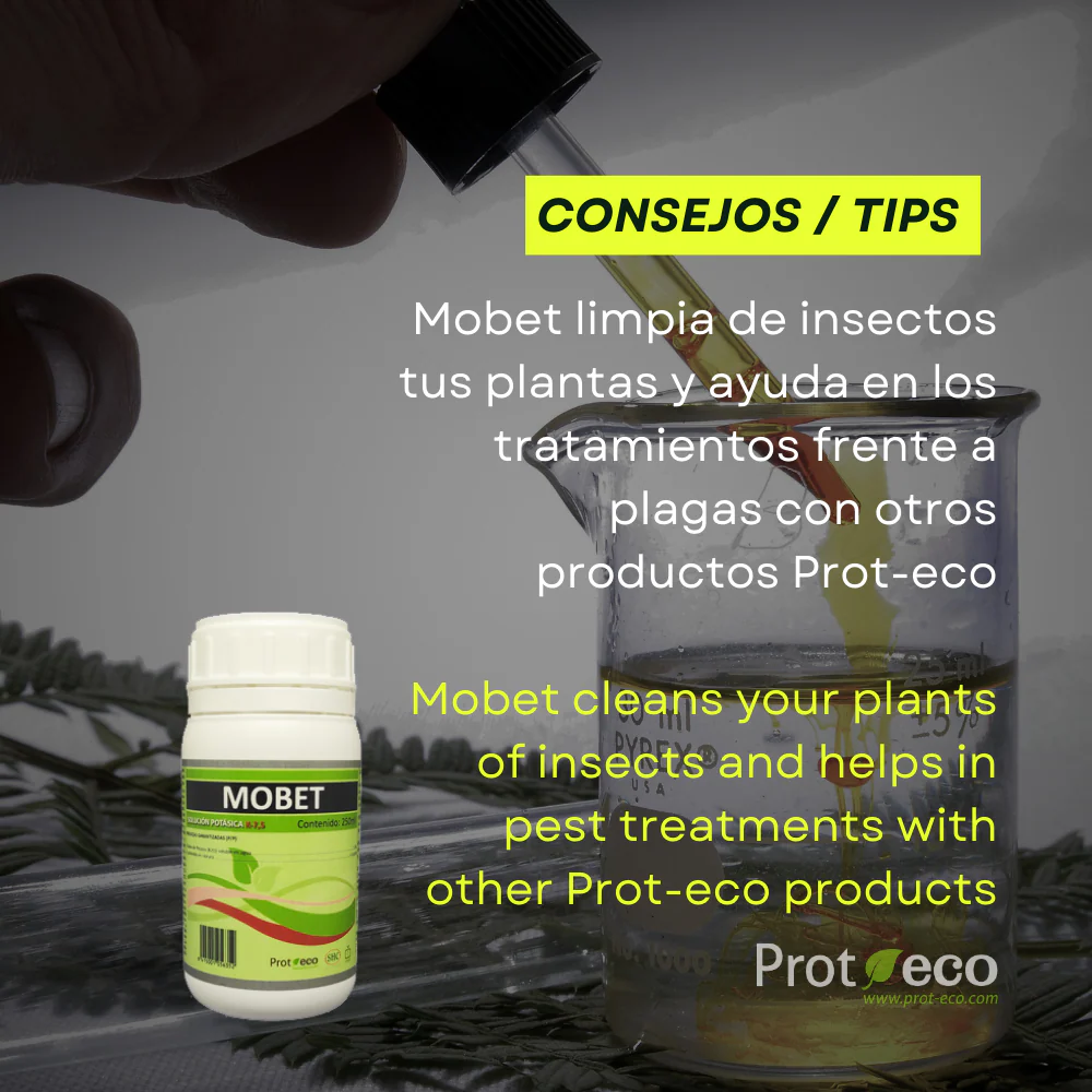 Jabón Potásico Ecológico Para Pulgón Y Cochinilla En Plantas Mobet Prot-eco (250 Ml)+pipeta dosificadora 5 ml gratis - Image 4