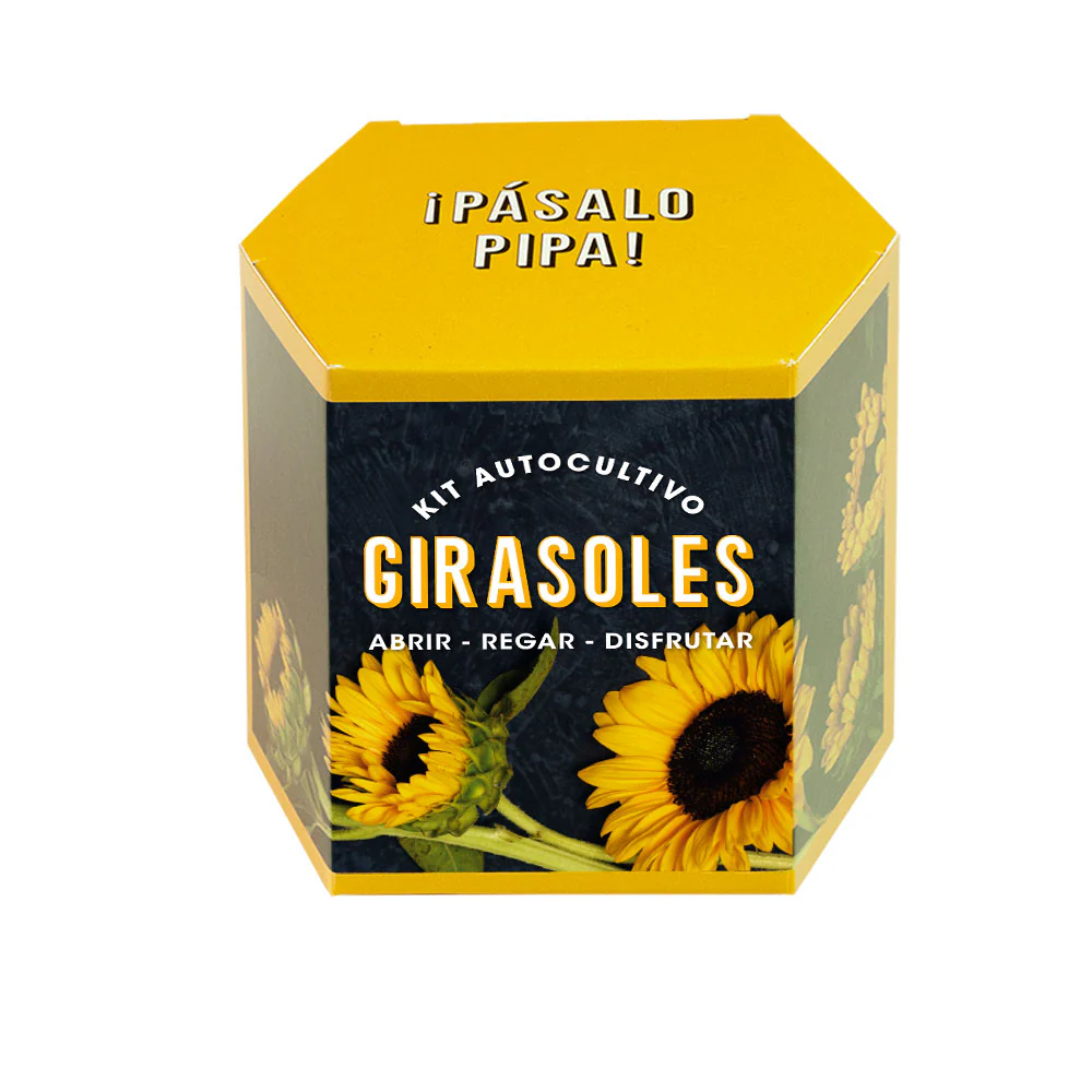 Kit Autocultivo Girasoles | Cultiva Flores Grandes Y Luminosas En Casa