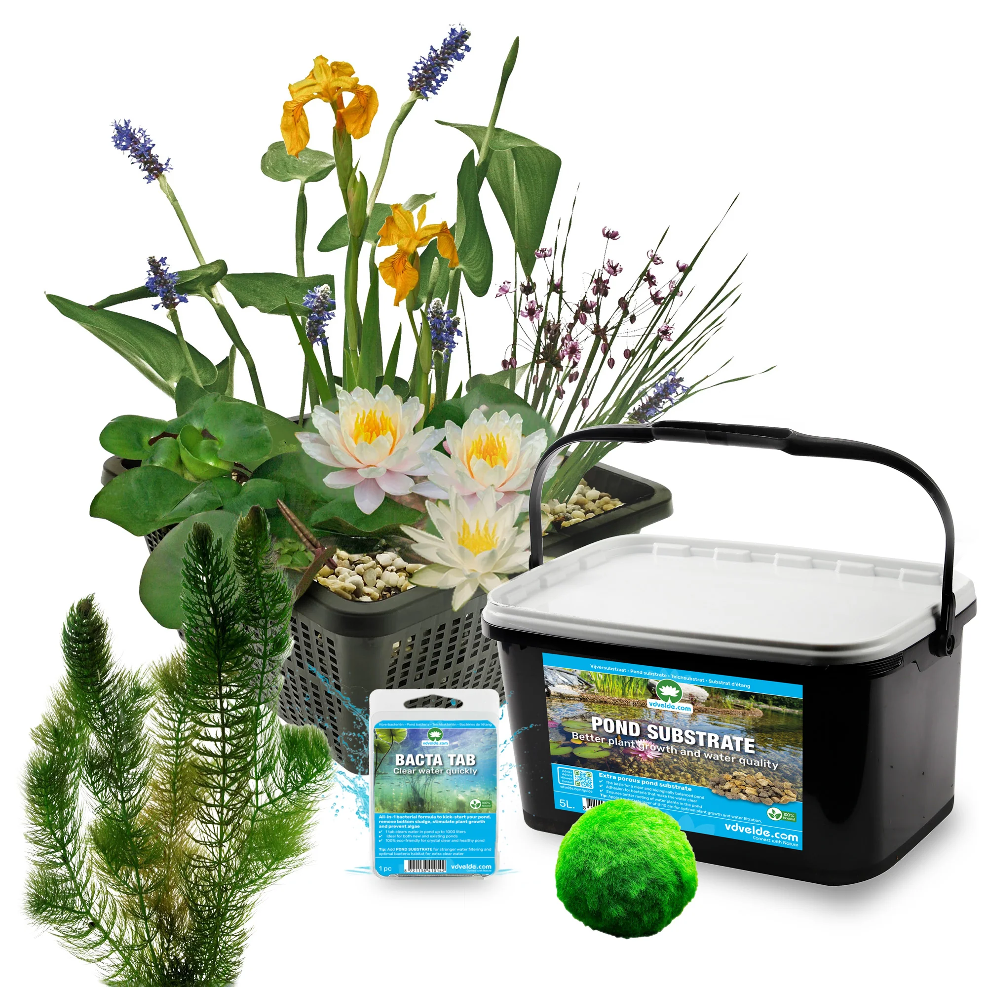 Kit Completo Para Miniestanque Blanco 25-90 L - 11 Plantas Acuáticas Y Bacterias - Image 3