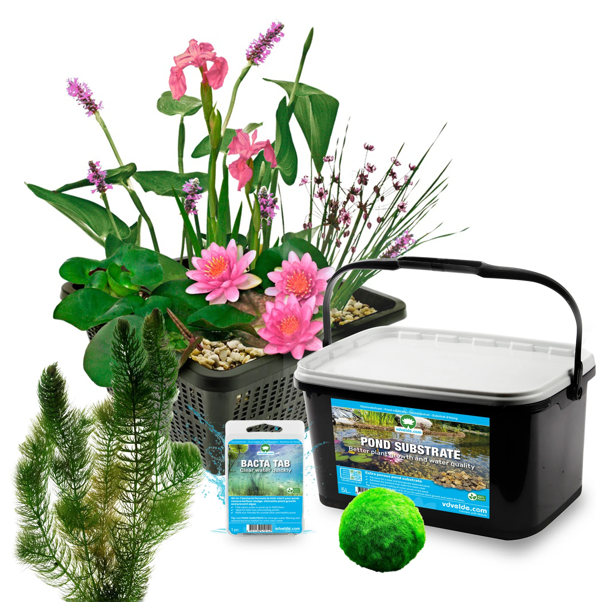 Kit Completo Para Miniestanque Rosa 25-90 L - 11 Plantas Acuáticas Y Bacterias - Image 3
