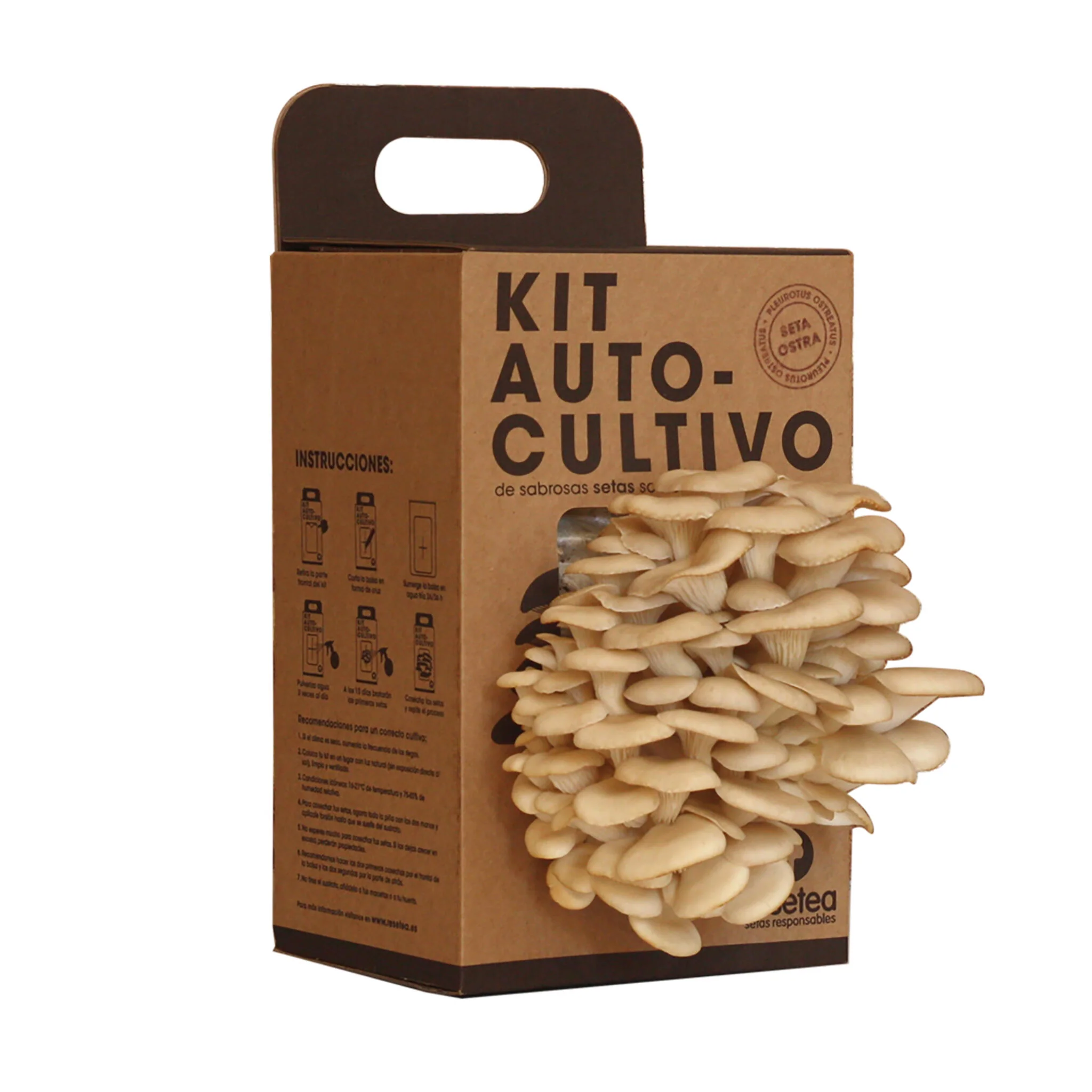 Kit Cultivo De Setas Ostra | Ingrediente Gourmet | Cultivo Fácil | Regalo Original | Resetea