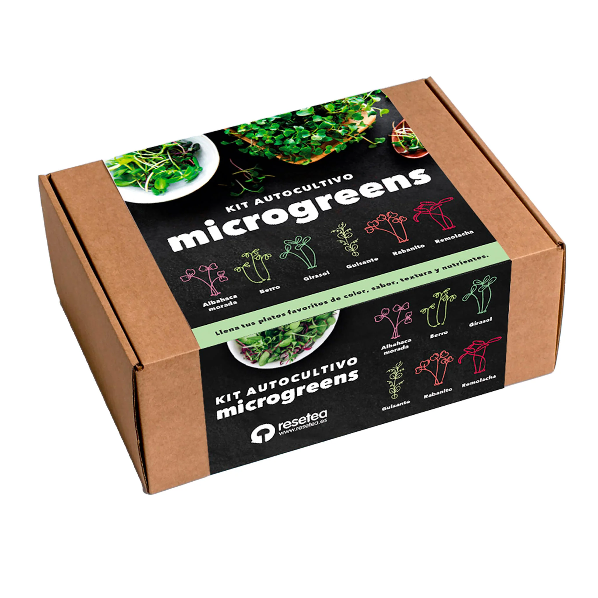 Kit Cultivo Microgreens | Albahaca Morada, Berro, Girasol, Guisante, Rabanito Y Remolacha En Casa
