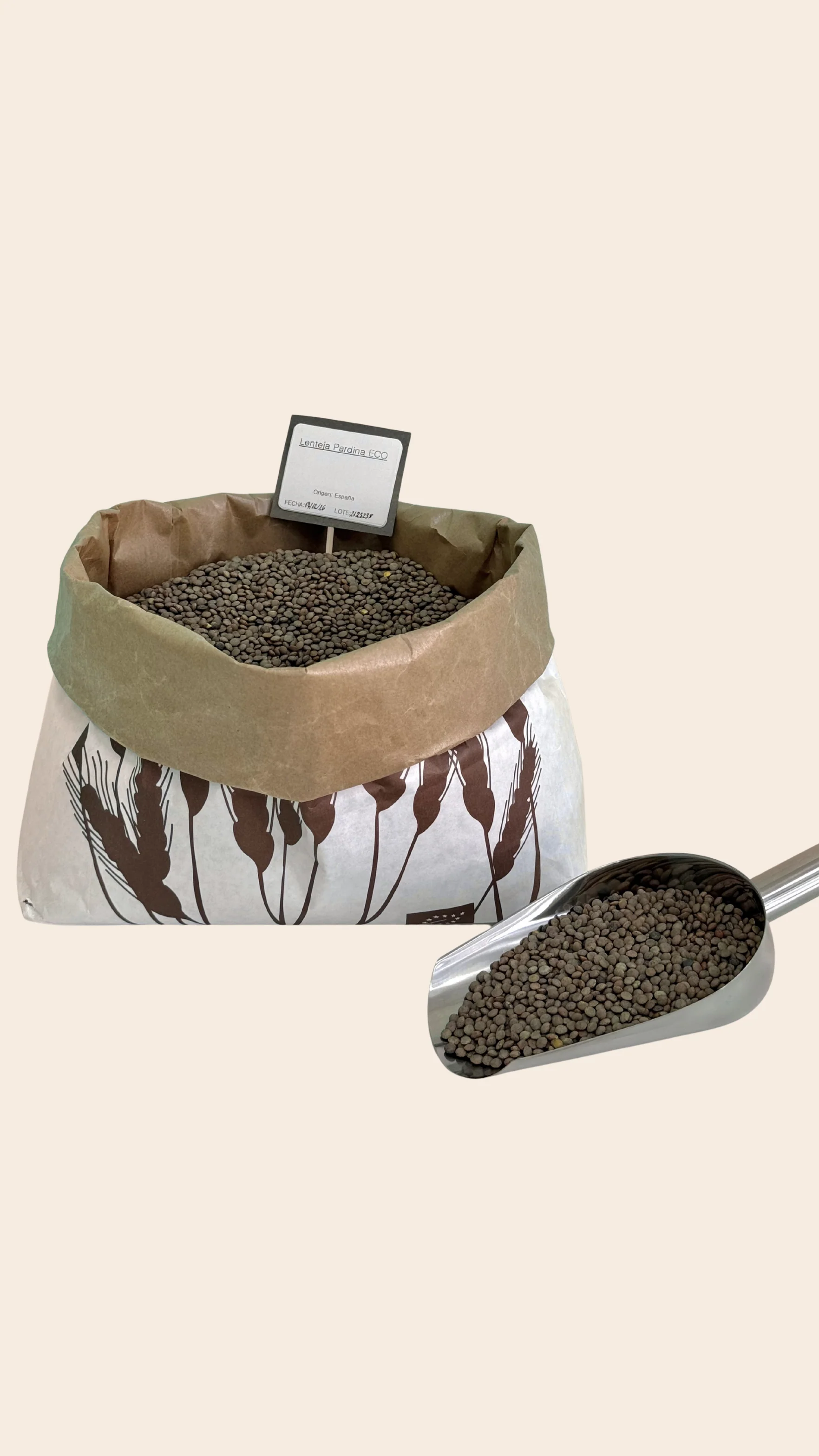 Lenteja Pardina (500g)