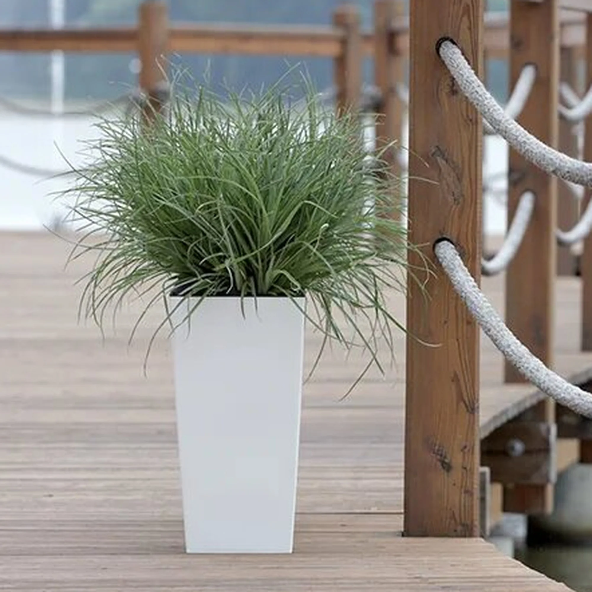 Maceta Alta Urbi 2 Litros, De Plastico, 12,6 X 12,6 X 20 Cm En Color Blanco - Image 5