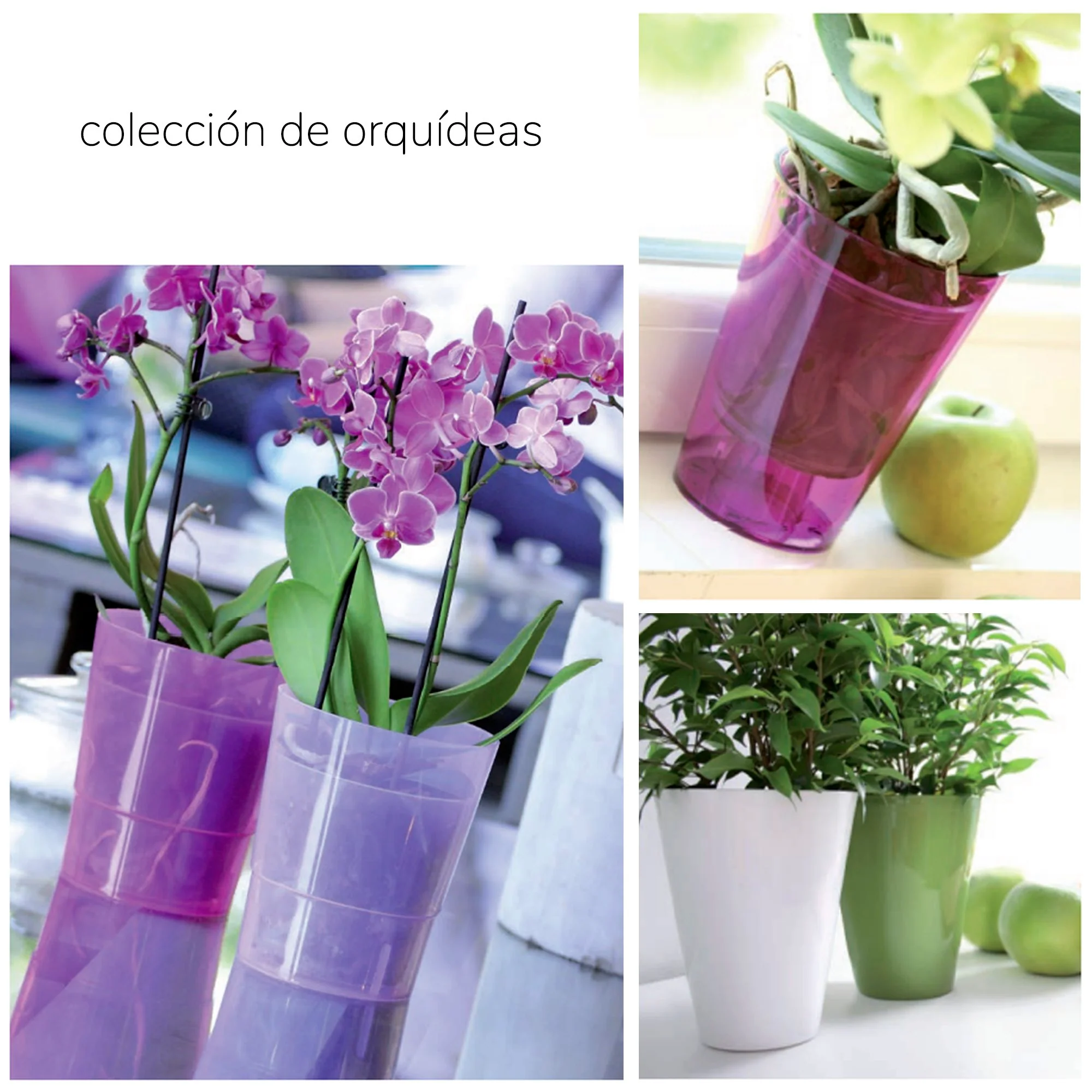 Maceta Coubi Orchid 1,1l., Dimensiones (mm) 125x125x147, Color Violeta Opaco - Image 2
