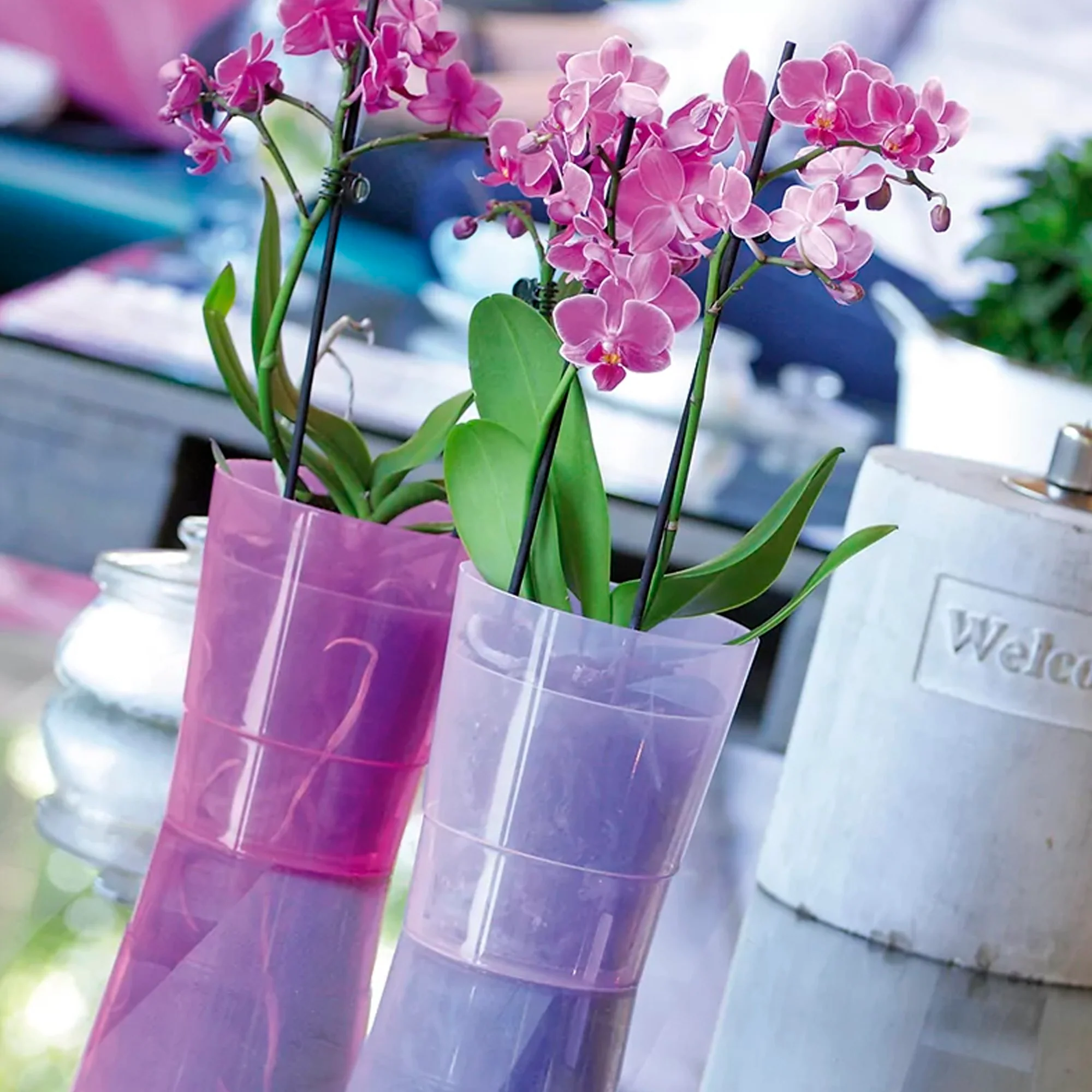 Maceta Coubi Orchid 1,1l., Dimensiones (mm) 125x125x147, Color Violeta Opaco - Image 5