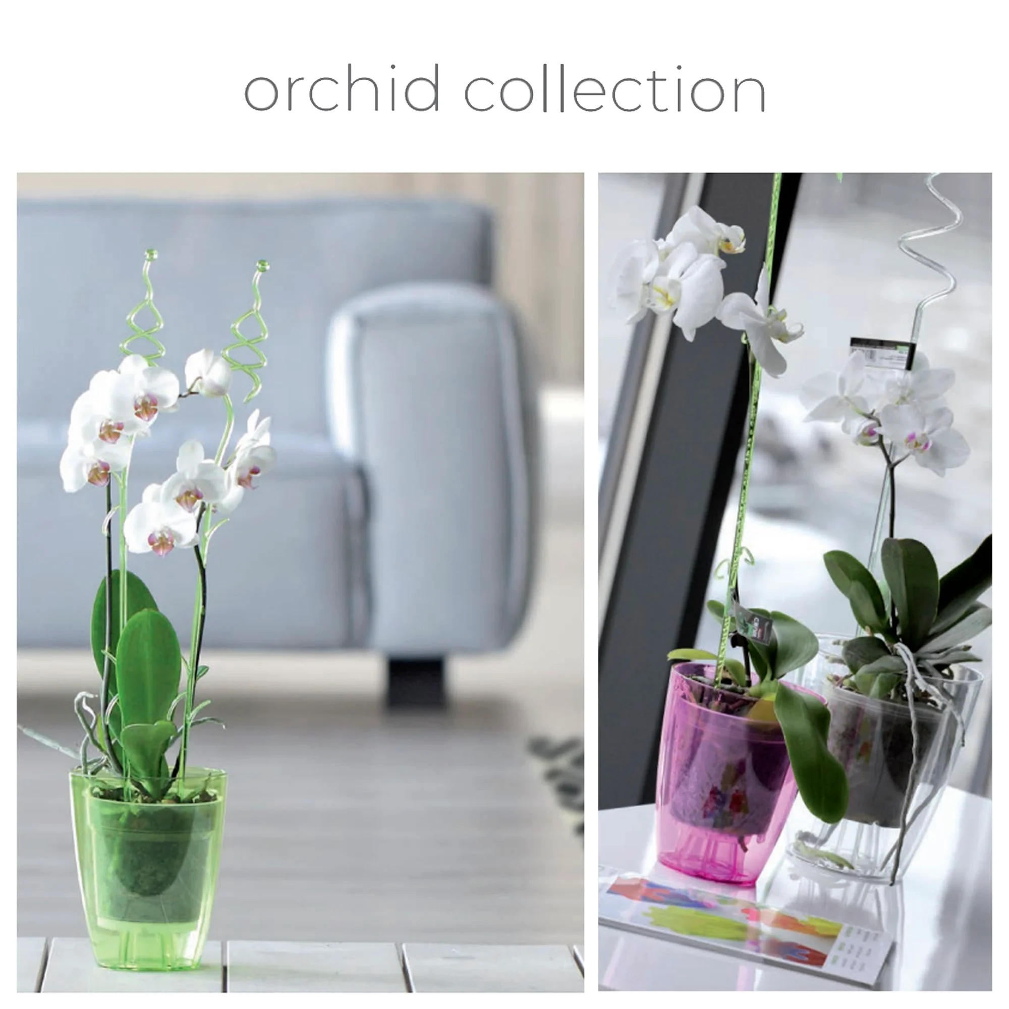 Maceta Coubi Orchid 1,5l., Dimensiones (mm) 132x132x160, Color Verde Transparente - Image 2