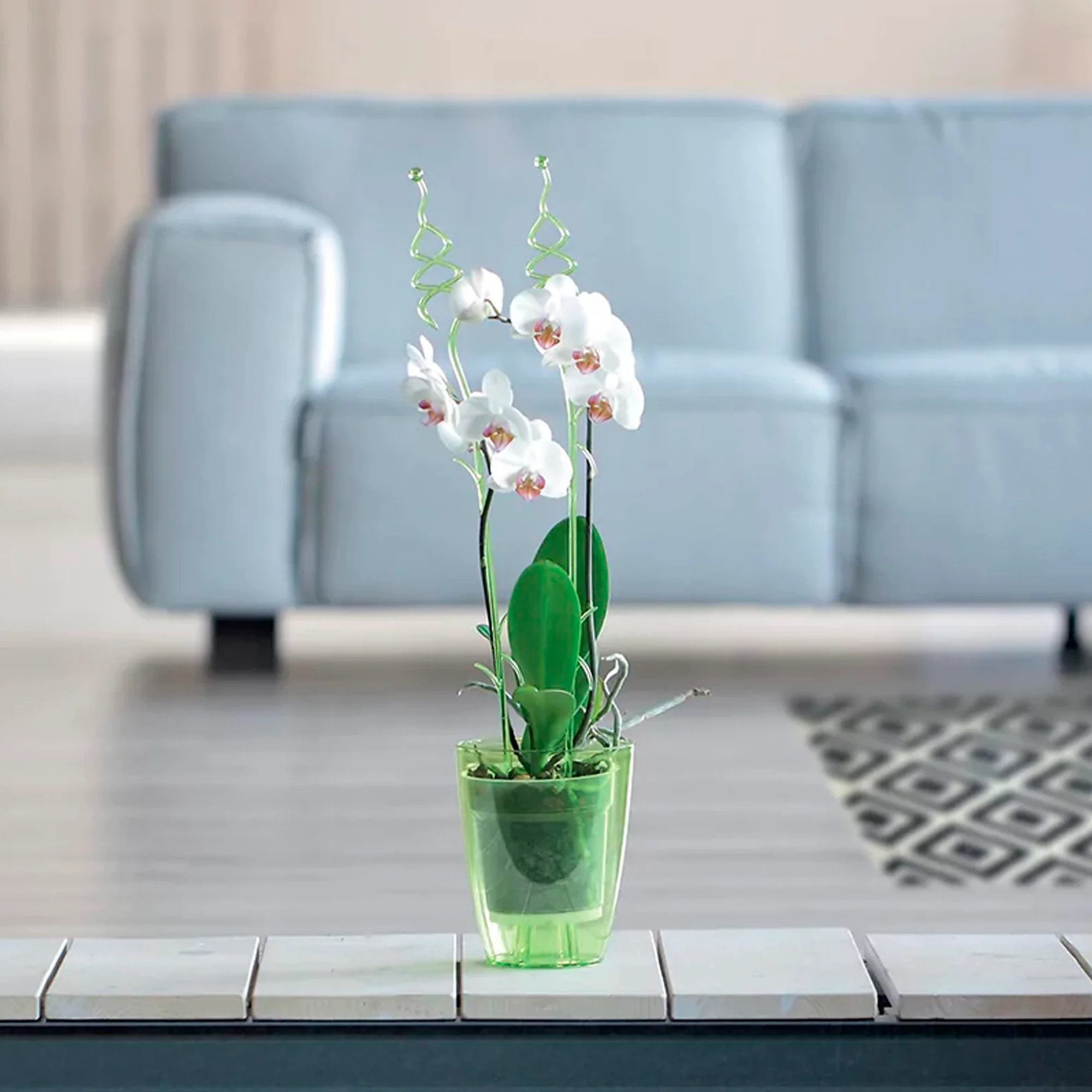 Maceta Coubi Orchid 2,4l., Dimensiones (mm) 160x160x183 - Image 6