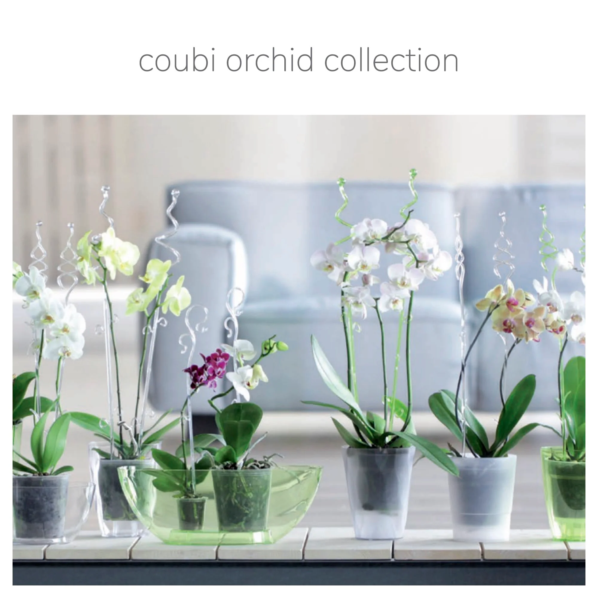 Maceta Coubi Orchid 3,8l., Dimensiones (mm) 360x150x132, Color Transparente - Image 2