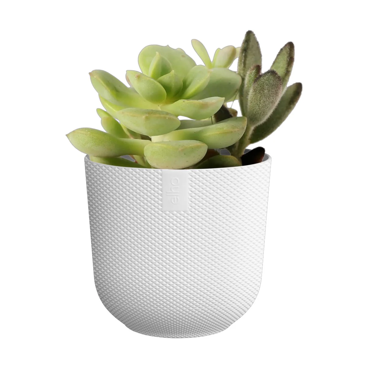 Maceta Blanco Jazz Round Mini Elho 11cm 100% reciclado - Image 2