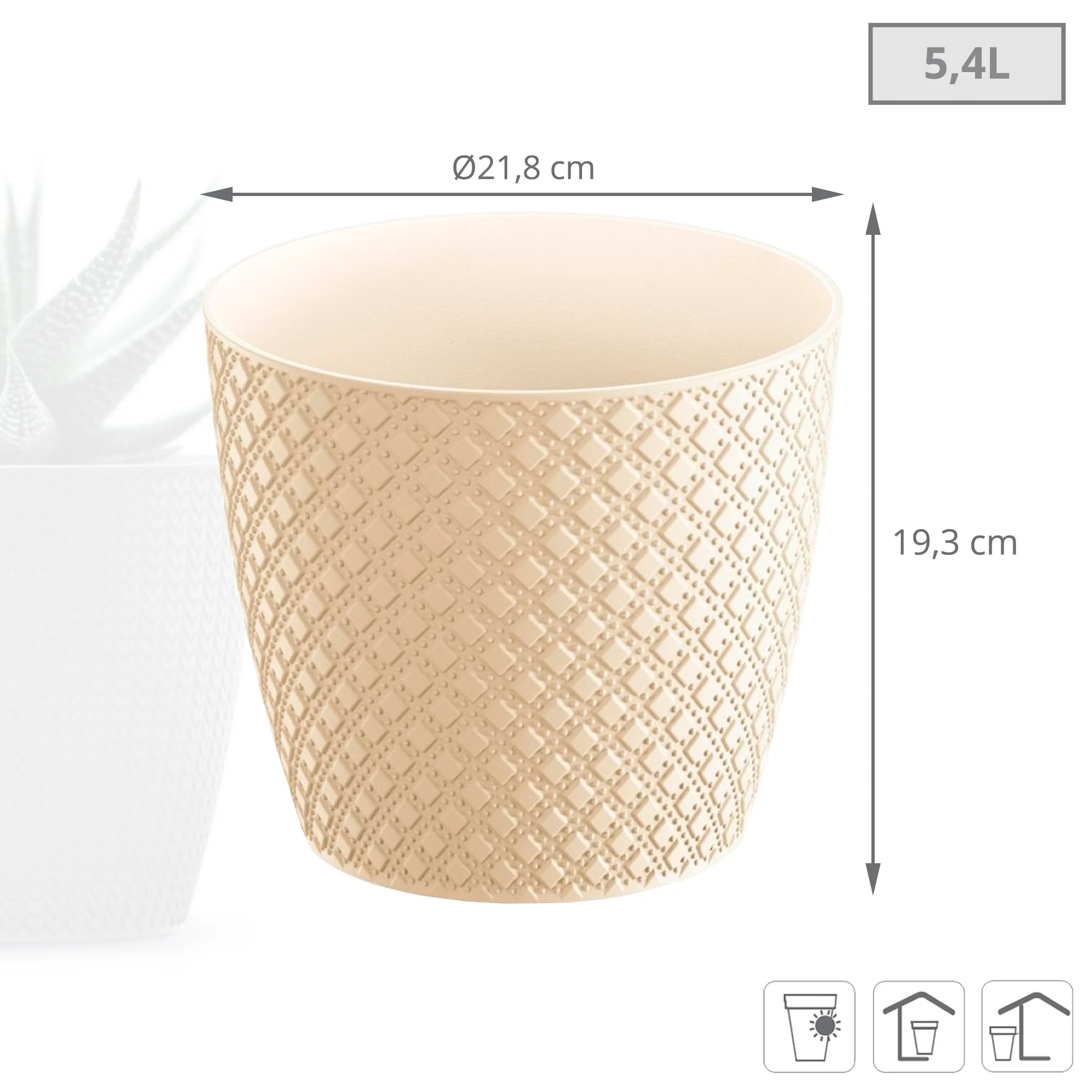 Maceta Orient 5,4l., Dimensiones (mm) 218x218x193, Color Crema - Image 3