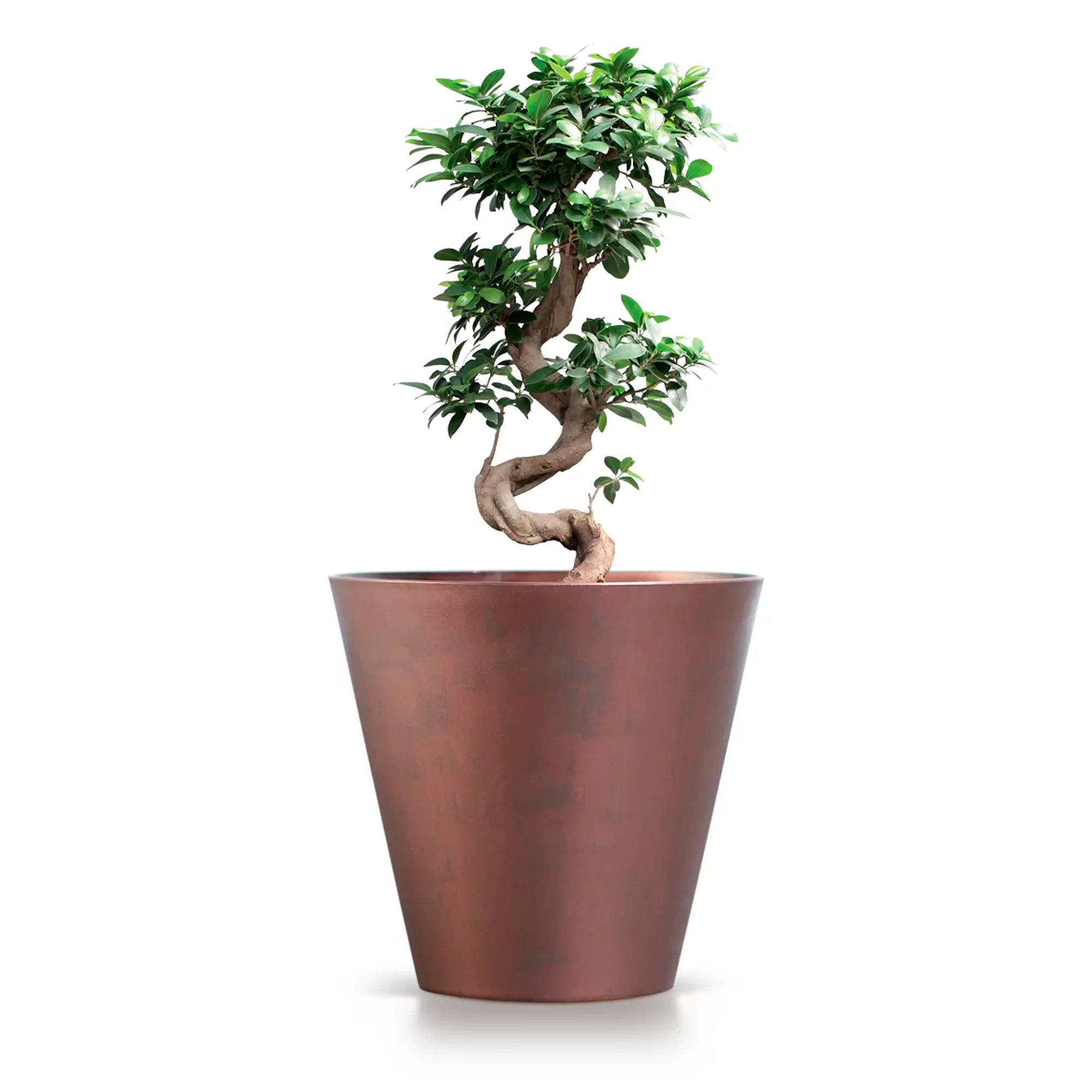 Maceta Tubus Corten 12l., Dimensiones (mm) 300x300x280, Color Cobre - Image 4