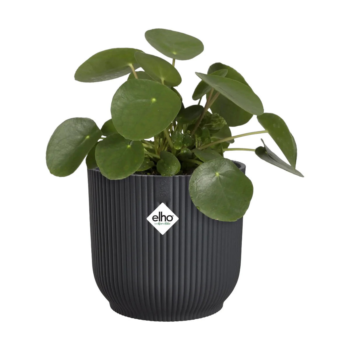 Maceta Antracita Vibes Fold Round Elho 16cm 100% reciclado - Image 2
