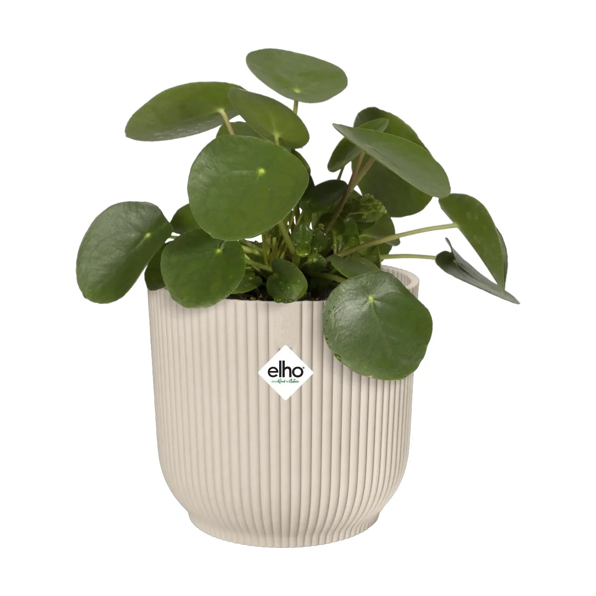 Maceta Blanco Lino Vibes Fold Round Elho 16cm 100% reciclado - Image 2