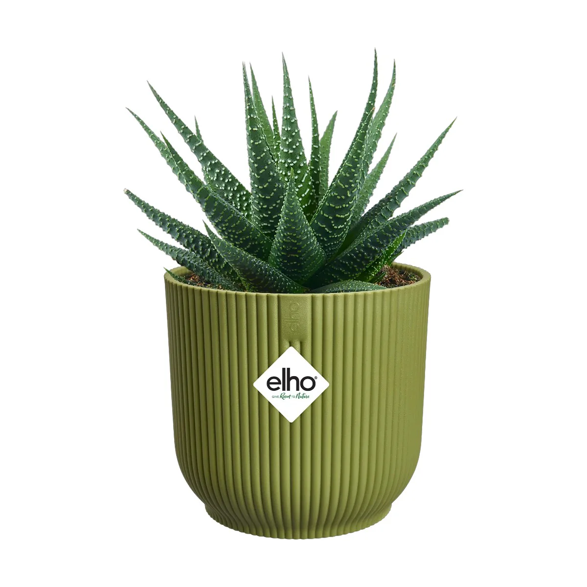 Maceta Verde Helecho Vibes Fold Round Mini Elho 11cm 100% reciclado - Image 2