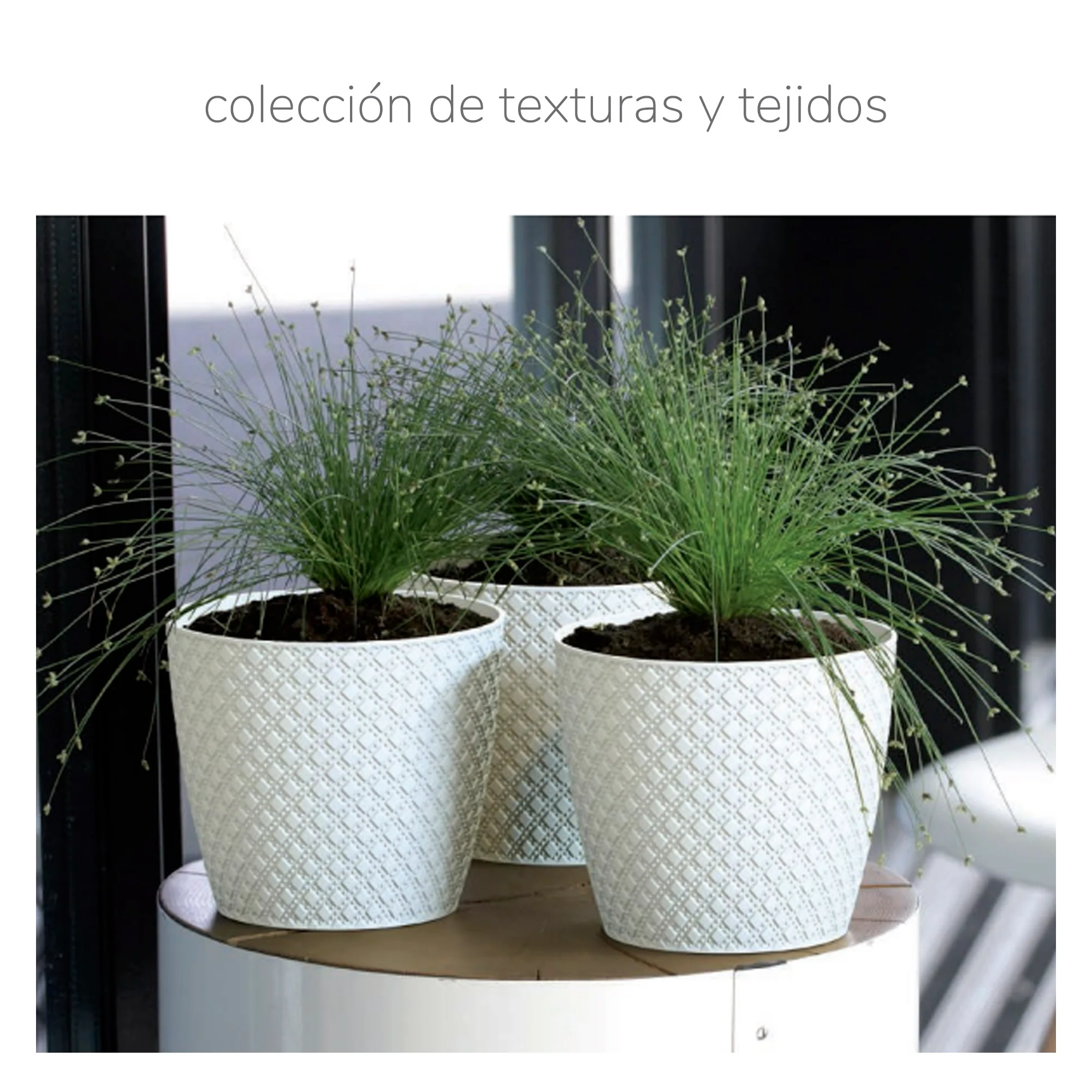Maceta Wheaty 1l., Dimensiones (mm) 128x128x112, Color Antracita - Image 2