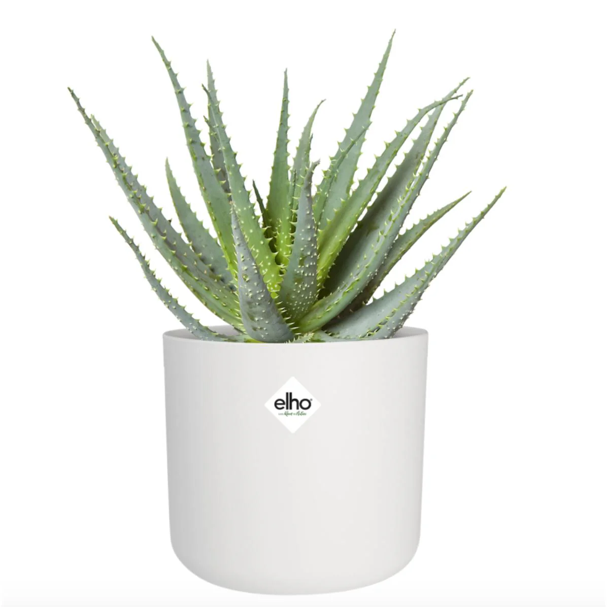 Macetero B.for Soft Round Elho Blanco 30 cm - Image 3