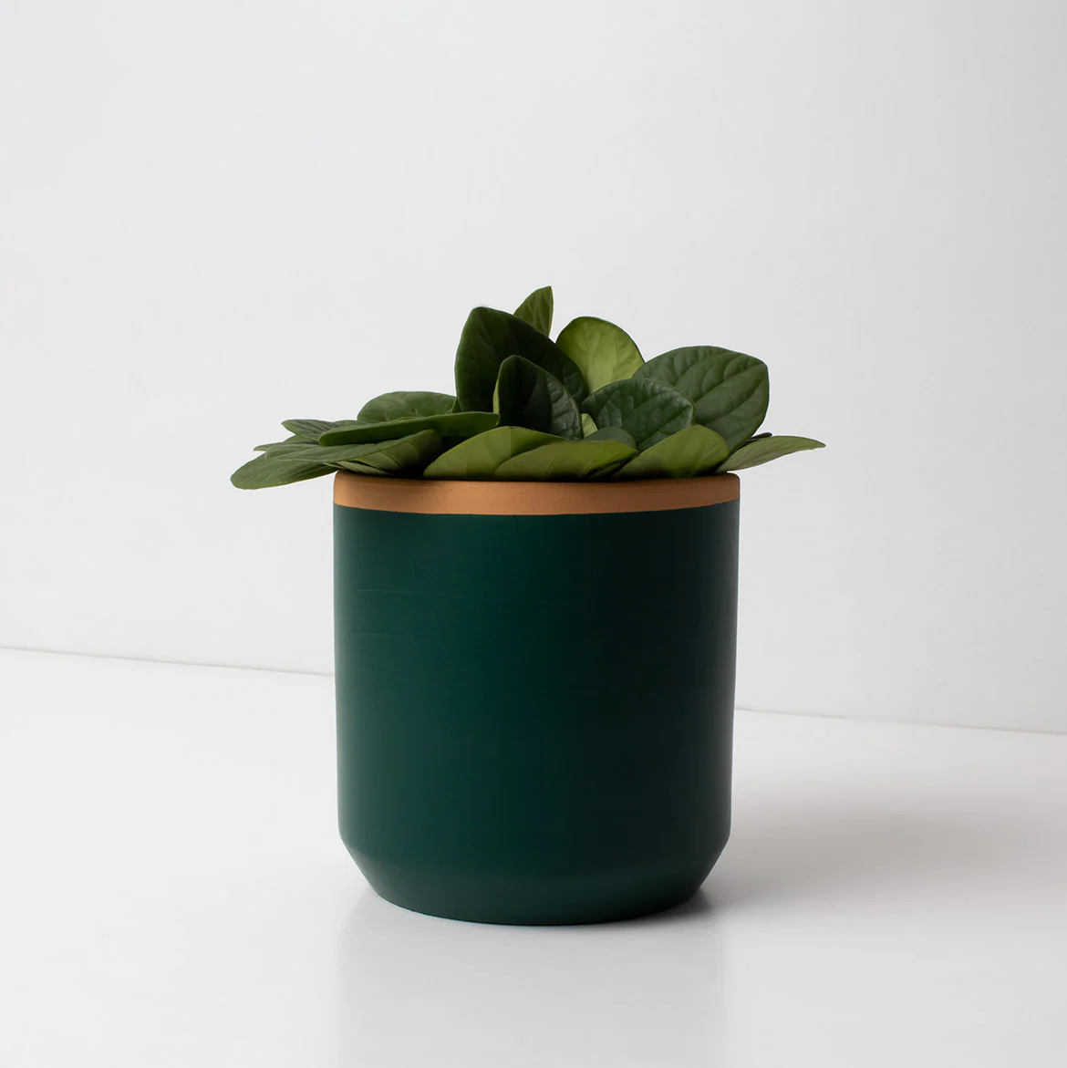 Macetero De Terracota Verde Helecho 13 Cm | Hecho A Mano Por Artesanos | Maceta Decorativa Para Plantas Interior - Image 2