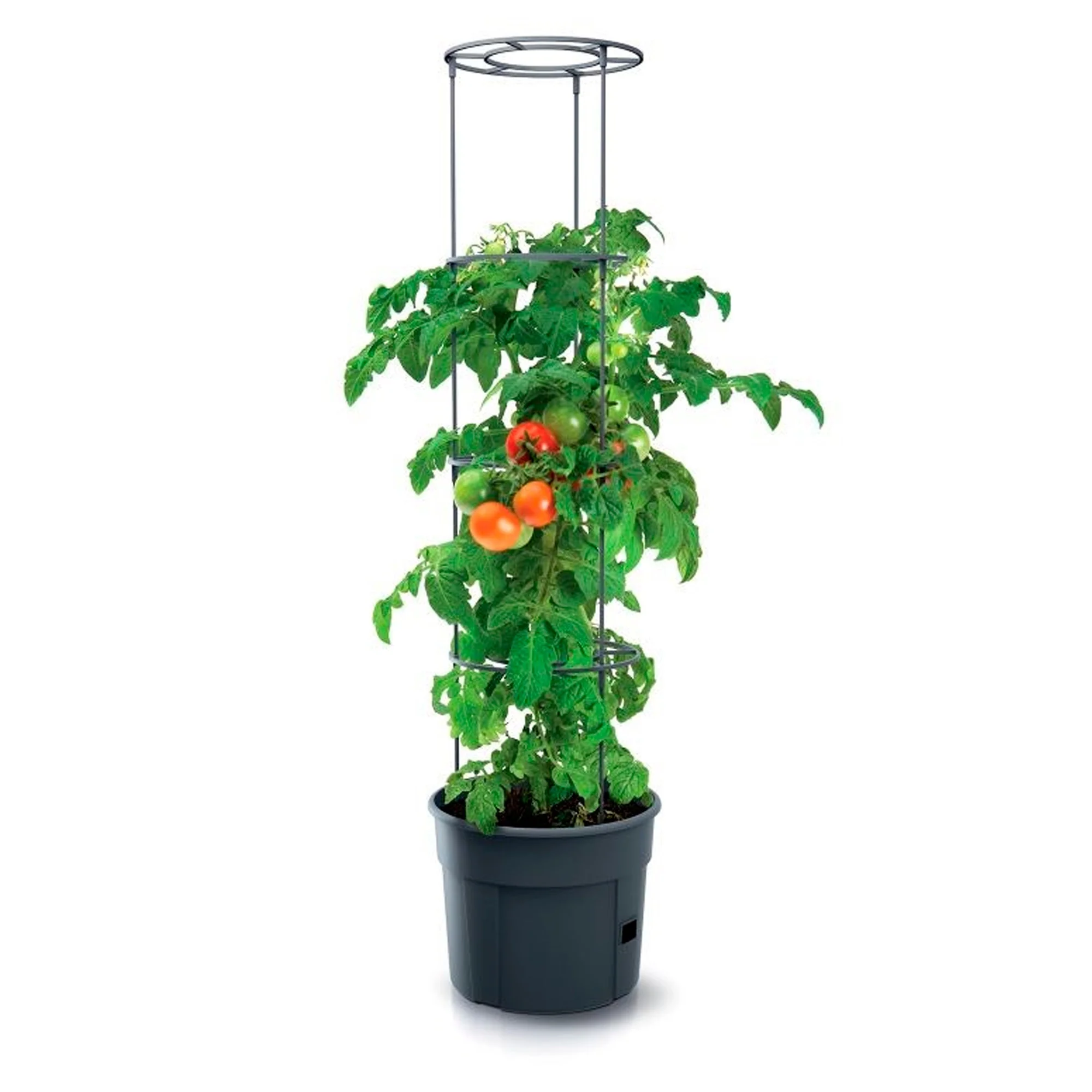 Macetero De Tomates Prosperplast Tomate Grower De Plastico En Color Antracita 39,2 (largo) X 39,2 (ancho) X 31,5-153 (alto) Cm - Image 3