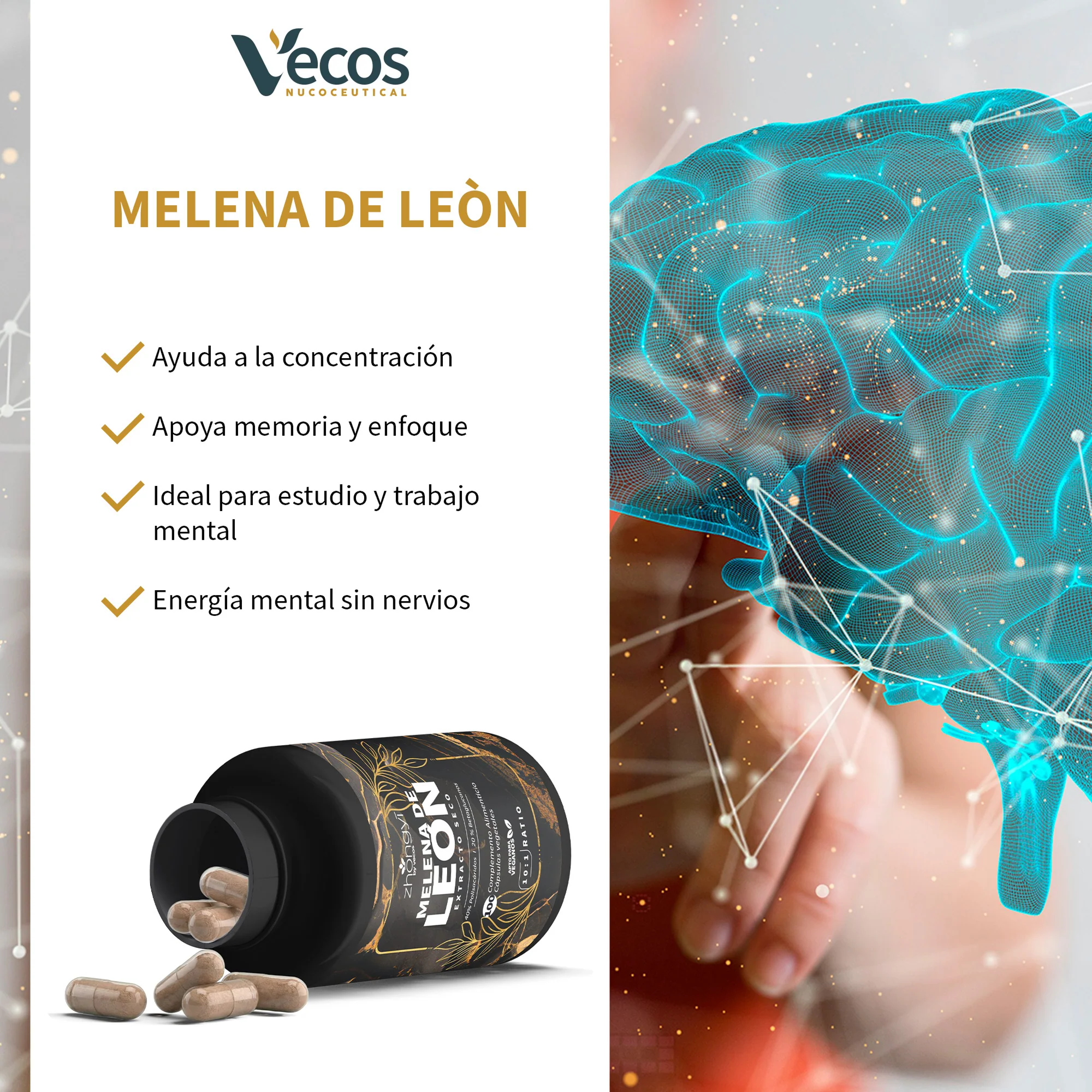 Melena De León 10:1 Vecos 100 Cápsulas | Enfoque Y Claridad Mental | Extracto De 40% + 20% Beta-glucanos - Image 4