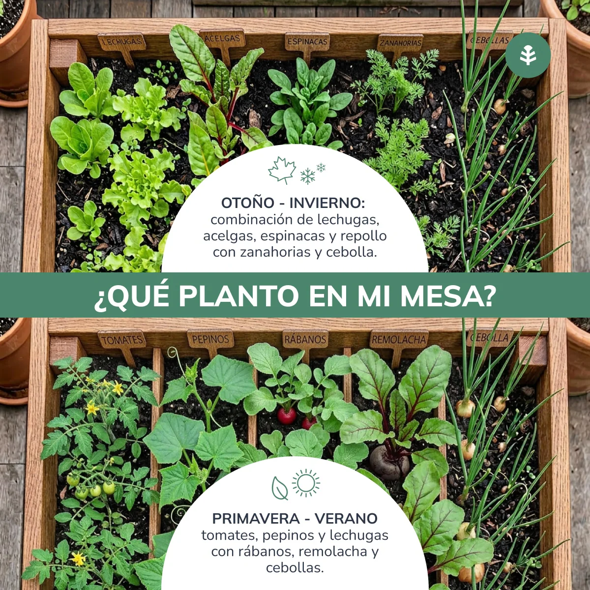 Mesa de Cultivo Huerto (120x80x80cm) L80 Planeta Huerto 160L - Image 3
