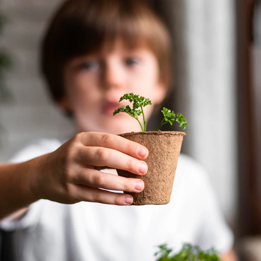 Mi Primer Cultivo De Flores | Kit Educativo Stem Para Cultivar Flores En Casa - Image 3